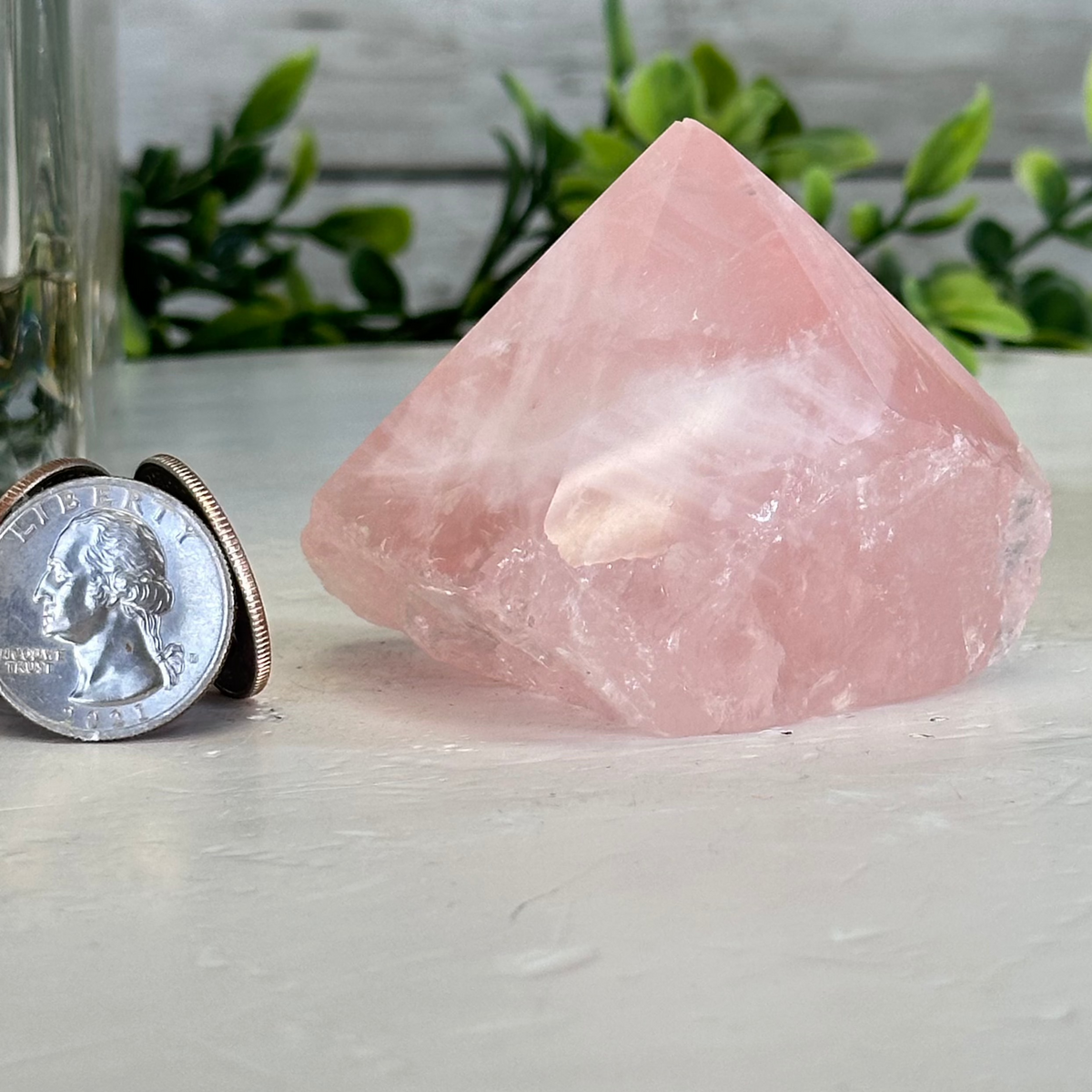 IMG_0087.heic?crop=center&