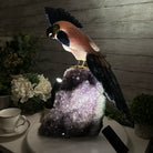 Extra Large Hand-Carved Rose Quartz Cockatoo Bird on an Amethyst Base, 18" Tall #3006-RQCAM-005 - Brazil GemsBrazil GemsExtra Large Hand-Carved Rose Quartz Cockatoo Bird on an Amethyst Base, 18" Tall #3006-RQCAM-005Crystal Birds3006-RQCAM-005