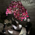 20" Tall Pink Agate Gemstone Tree w/ Amethyst base, 540 gems #5406PA-006 - Brazil GemsBrazil Gems20" Tall Pink Agate Gemstone Tree w/ Amethyst base, 540 gems #5406PA-006Gemstone Trees5406PA-006