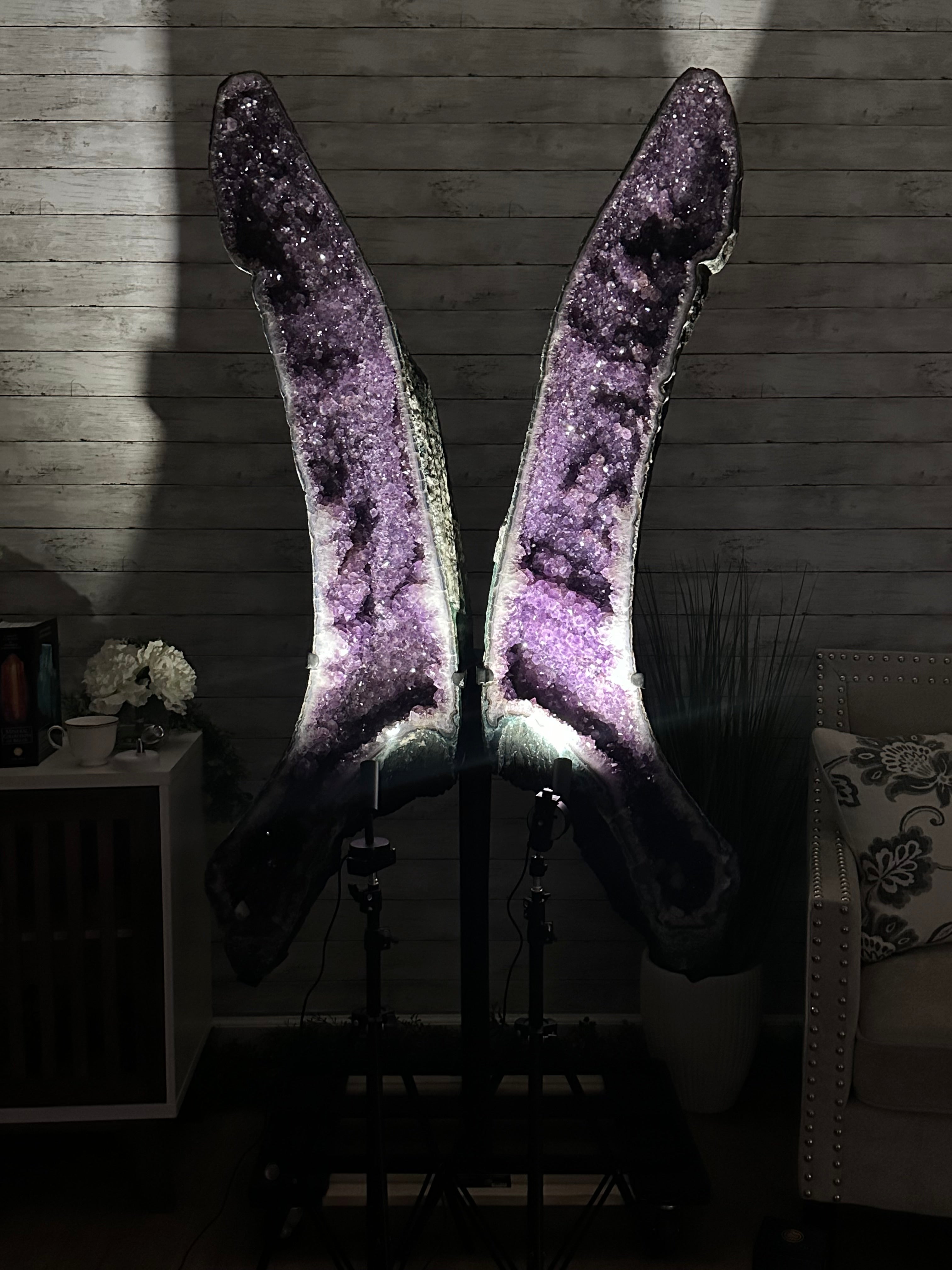Extra Plus Quality Amethyst Butterfly Wings 311 lbs & 72" Tall #5493-0045 - Brazil GemsBrazil GemsExtra Plus Quality Amethyst Butterfly Wings 311 lbs & 72" Tall #5493-0045Amethyst Butterfly Wings5493-0045