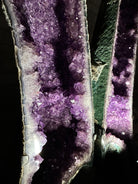 Extra Plus Quality Amethyst Butterfly Wings 311 lbs & 72" Tall #5493-0045 - Brazil GemsBrazil GemsExtra Plus Quality Amethyst Butterfly Wings 311 lbs & 72" Tall #5493-0045Amethyst Butterfly Wings5493-0045