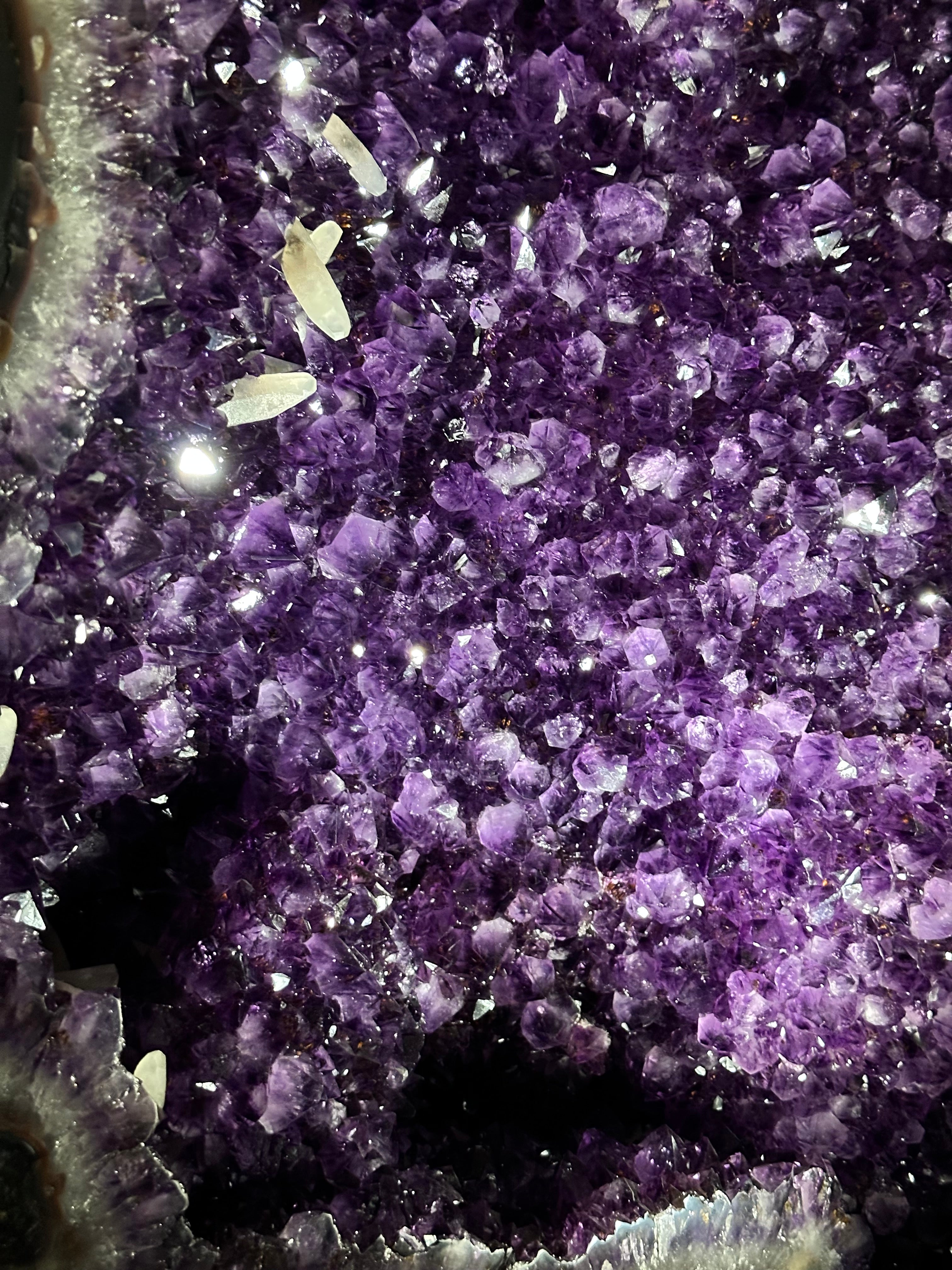 Large Super Quality Amethyst Wings on a Metal Stand, 503 lbs, 71" Tall #5493-0046 - Brazil GemsBrazil GemsLarge Super Quality Amethyst Wings on a Metal Stand, 503 lbs, 71" Tall #5493-0046Amethyst Butterfly Wings5493-0046