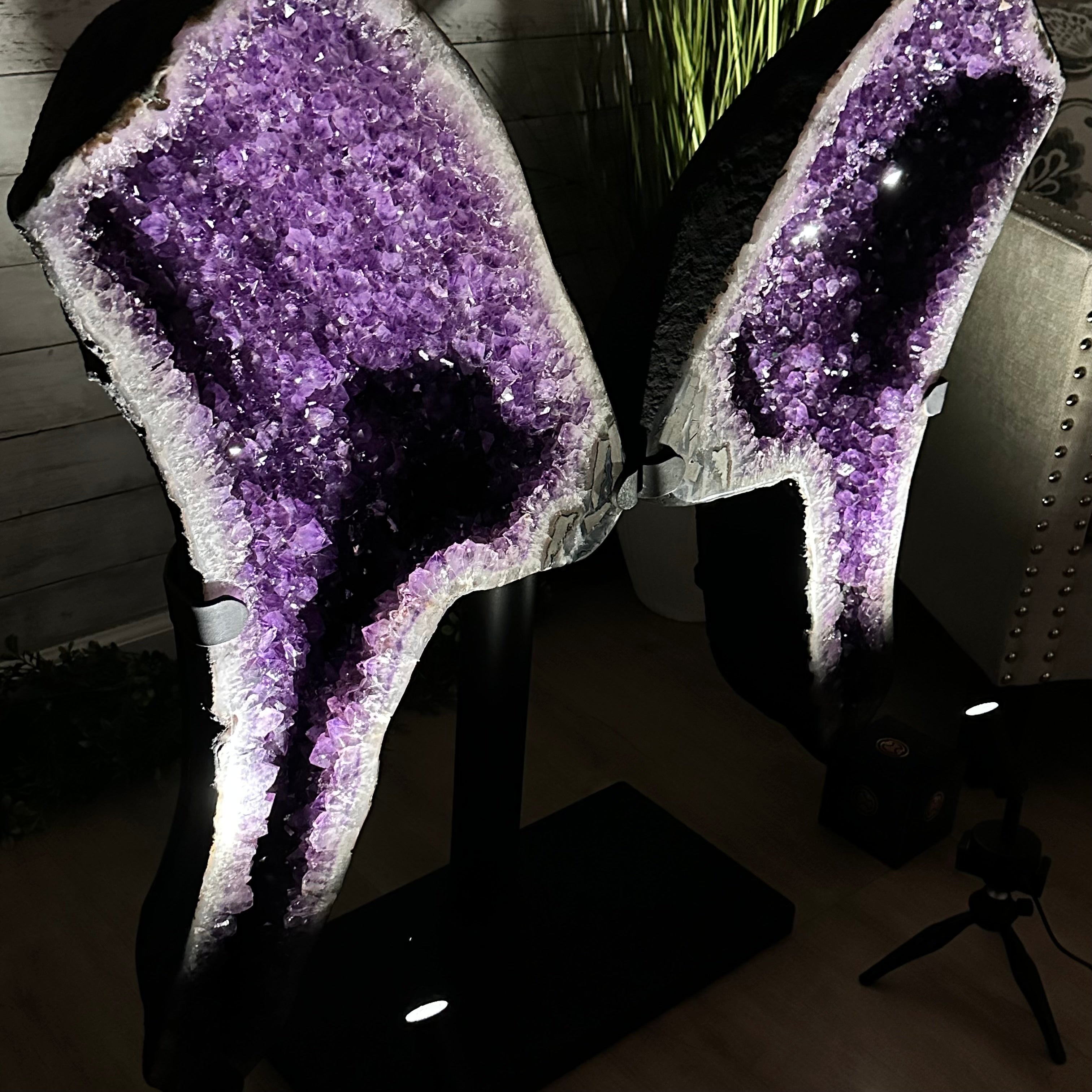 Extra Plus Quality Amethyst Wings on a Metal Stand, 178 lbs, 36" Tall #5493-0040 - Brazil GemsBrazil GemsExtra Plus Quality Amethyst Wings on a Metal Stand, 178 lbs, 36" Tall #5493-0040Amethyst Butterfly Wings5493-0040