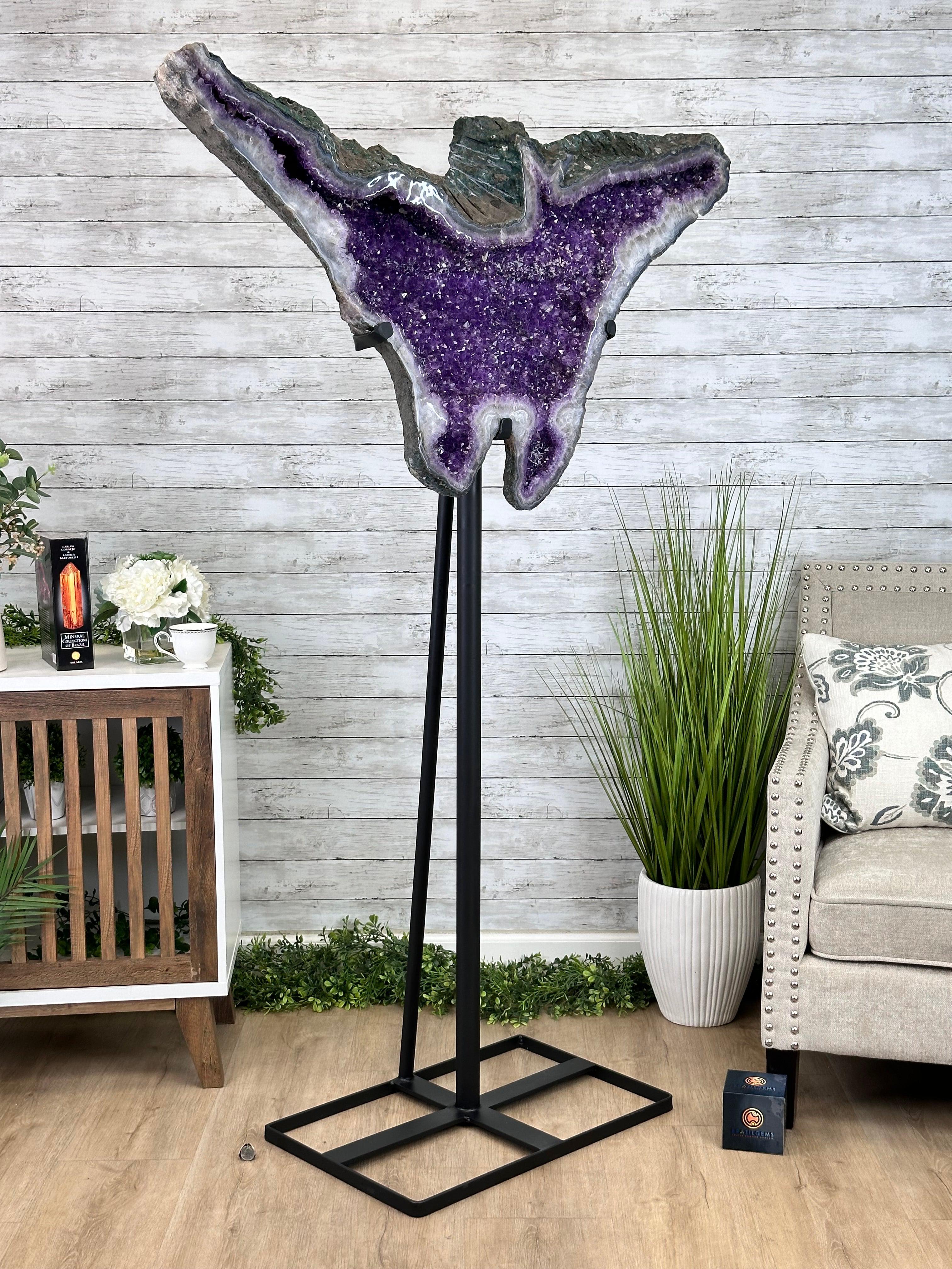 "The Bat" Amethyst Cluster, Metal Base, 163 lbs & 69" Tall #5491-0145 - Brazil GemsBrazil Gems"The Bat" Amethyst Cluster, Metal Base, 163 lbs & 69" Tall #5491-0145Clusters on Fixed Bases5491-0145