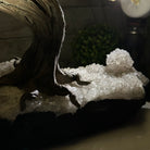 20" Tall Citrine Gemstone Tree on an Amethyst Base, 540 gems #5406CI-019 - Brazil GemsBrazil Gems20" Tall Citrine Gemstone Tree on an Amethyst Base, 540 gems #5406CI-019Gemstone Trees5406CI-019