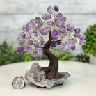 Amethyst 7" Tall Handmade Gemstone Tree on a Crystal base, 60 Gems #5402AMTH - Brazil GemsBrazil GemsAmethyst 7" Tall Handmade Gemstone Tree on a Crystal base, 60 Gems #5402AMTHGemstone Trees5402AMTH