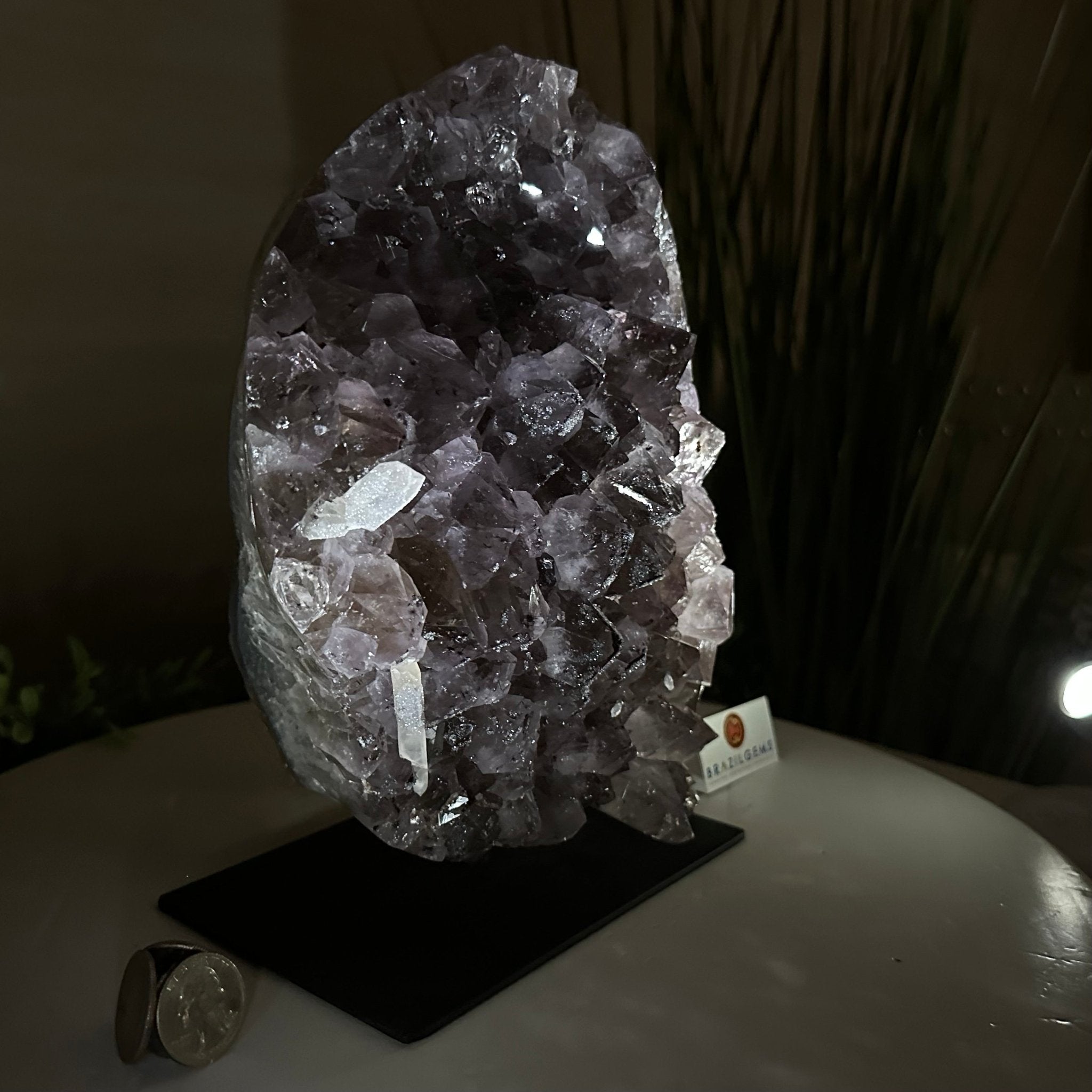 Amethyst Cluster on a Metal Base, 11.6 lbs & 8.8" Tall #5491D - 0234 - Brazil GemsBrazil GemsAmethyst Cluster on a Metal Base, 11.6 lbs & 8.8" Tall #5491D - 0234Clusters on Fixed Bases5491D - 0234