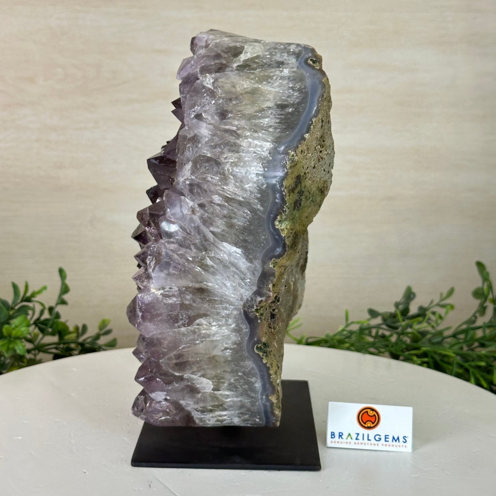 Amethyst Cluster on a Metal Base, 11.6 lbs & 8.8" Tall #5491D - 0234 - Brazil GemsBrazil GemsAmethyst Cluster on a Metal Base, 11.6 lbs & 8.8" Tall #5491D - 0234Clusters on Fixed Bases5491D - 0234