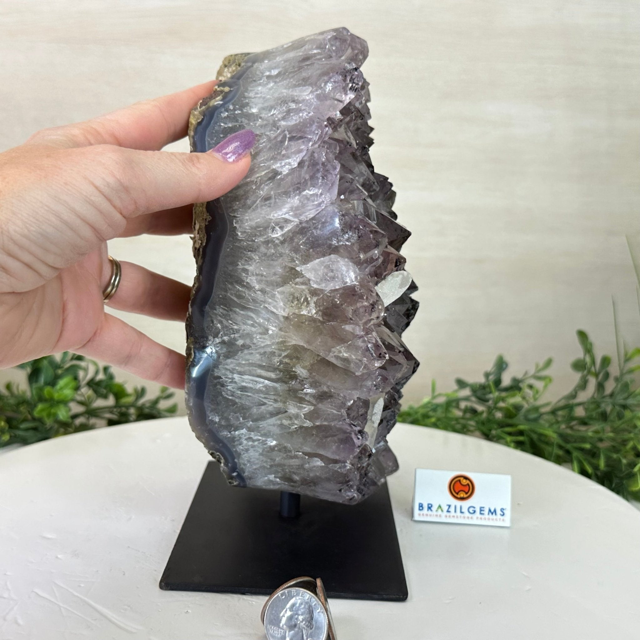 Amethyst Cluster on a Metal Base, 11.6 lbs & 8.8" Tall #5491D - 0234 - Brazil GemsBrazil GemsAmethyst Cluster on a Metal Base, 11.6 lbs & 8.8" Tall #5491D - 0234Clusters on Fixed Bases5491D - 0234