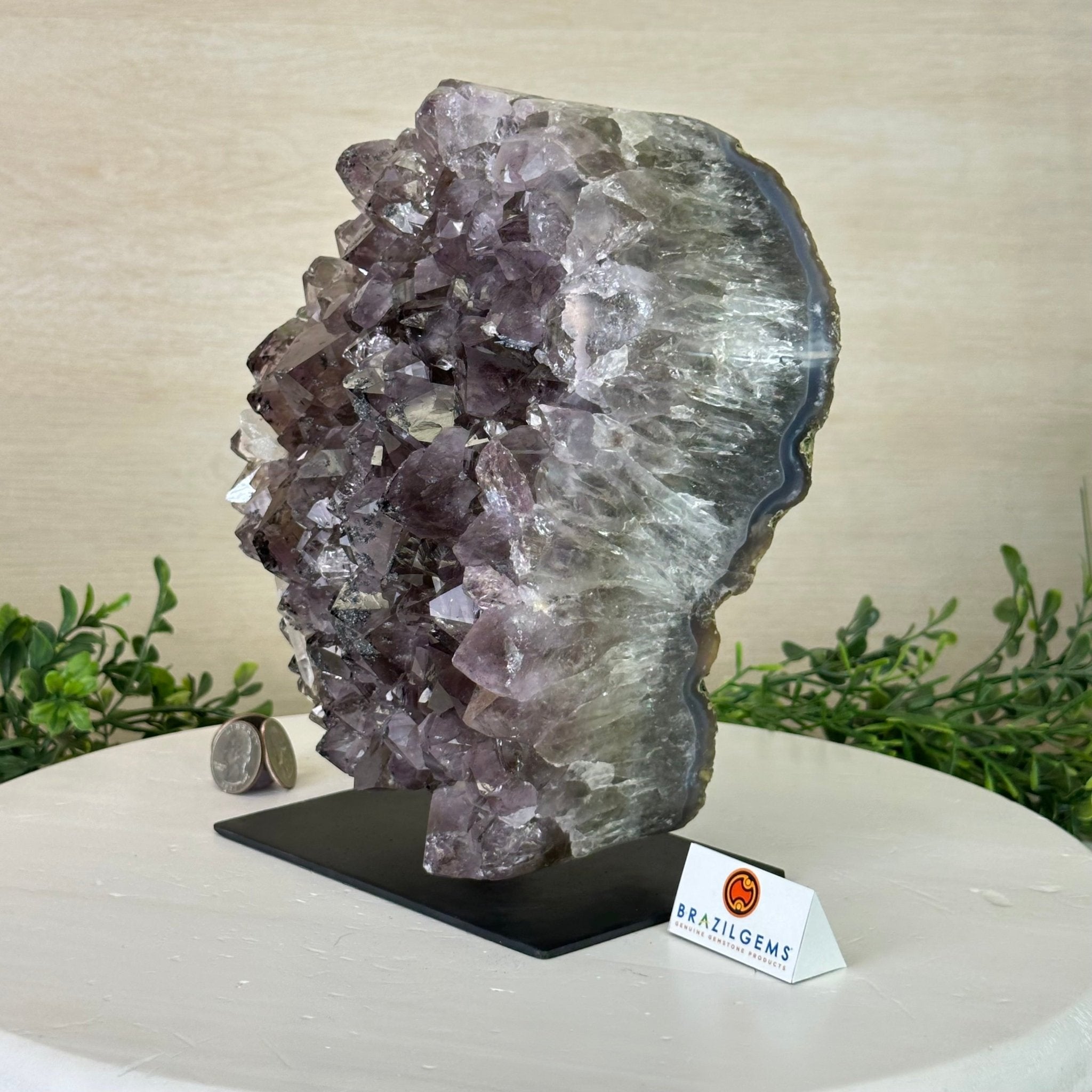 Amethyst Cluster on a Metal Base, 11.6 lbs & 8.8" Tall #5491D - 0234 - Brazil GemsBrazil GemsAmethyst Cluster on a Metal Base, 11.6 lbs & 8.8" Tall #5491D - 0234Clusters on Fixed Bases5491D - 0234