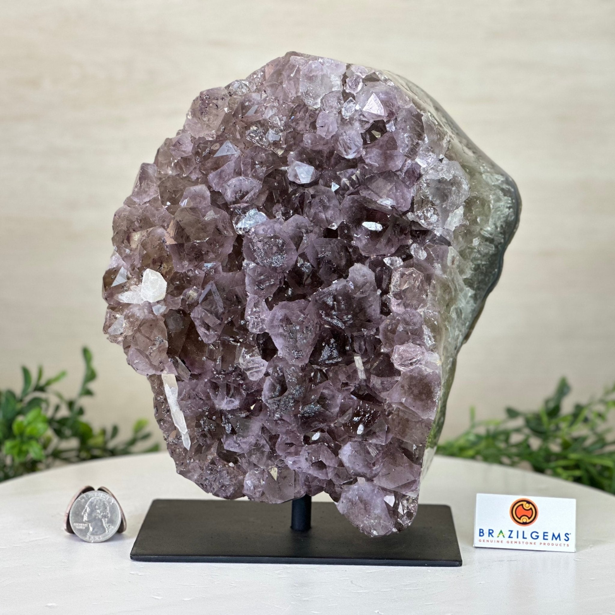 Amethyst Cluster on a Metal Base, 11.6 lbs & 8.8" Tall #5491D - 0234 - Brazil GemsBrazil GemsAmethyst Cluster on a Metal Base, 11.6 lbs & 8.8" Tall #5491D - 0234Clusters on Fixed Bases5491D - 0234