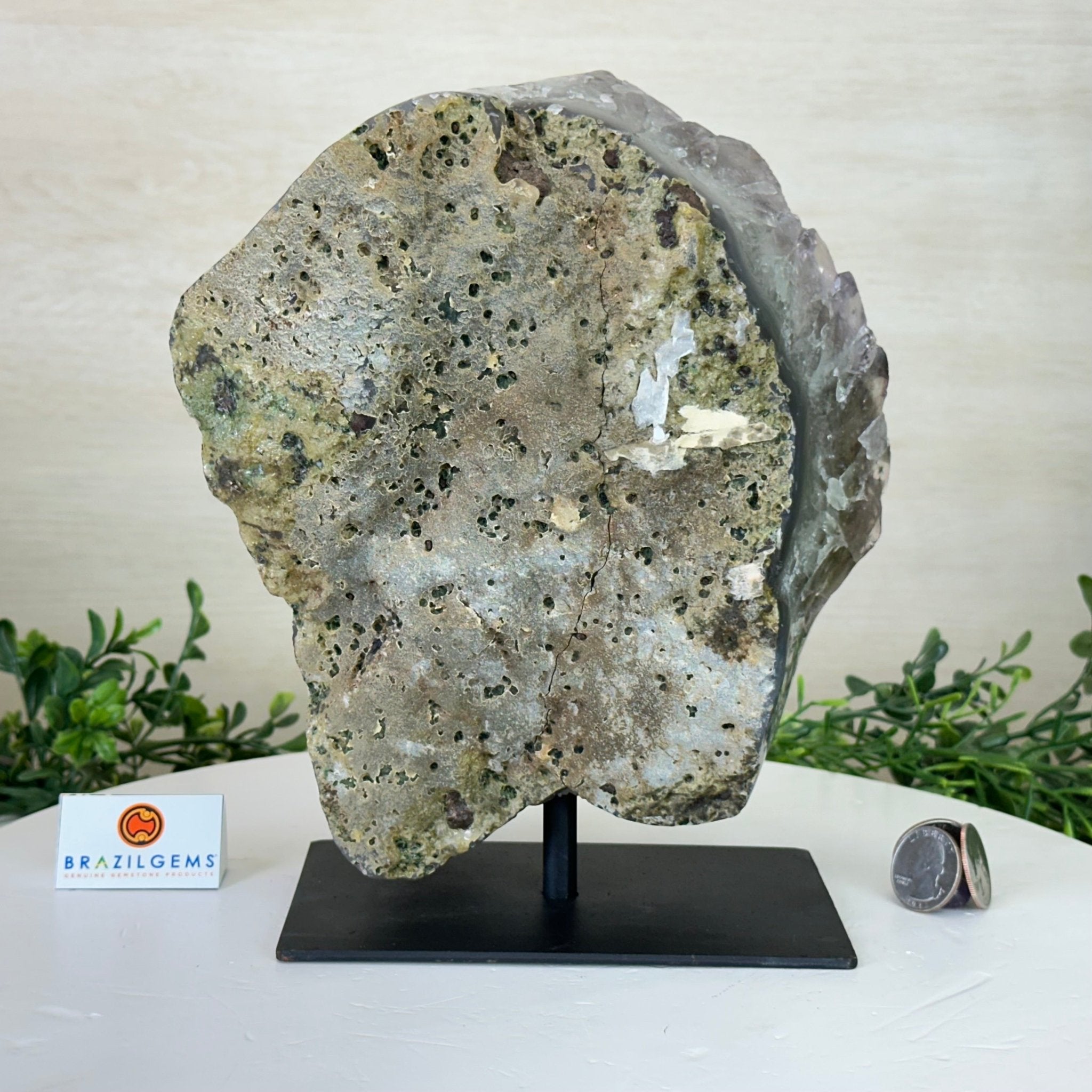 Amethyst Cluster on a Metal Base, 11.6 lbs & 8.8" Tall #5491D - 0234 - Brazil GemsBrazil GemsAmethyst Cluster on a Metal Base, 11.6 lbs & 8.8" Tall #5491D - 0234Clusters on Fixed Bases5491D - 0234