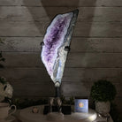 Amethyst Cluster on a Metal Base, 12.4 lbs & 19.5" Tall #5491 - 0147 - Brazil GemsBrazil GemsAmethyst Cluster on a Metal Base, 12.4 lbs & 19.5" Tall #5491 - 0147Clusters on Fixed Bases5491 - 0147