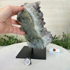 Amethyst Cluster on a Metal Base, 13 lbs & 9.9" Tall #5491 - 0215 - Brazil GemsBrazil GemsAmethyst Cluster on a Metal Base, 13 lbs & 9.9" Tall #5491 - 0215Clusters on Fixed Bases5491 - 0215