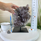 Amethyst Cluster on a Metal Base, 13 lbs & 9.9" Tall #5491 - 0215 - Brazil GemsBrazil GemsAmethyst Cluster on a Metal Base, 13 lbs & 9.9" Tall #5491 - 0215Clusters on Fixed Bases5491 - 0215