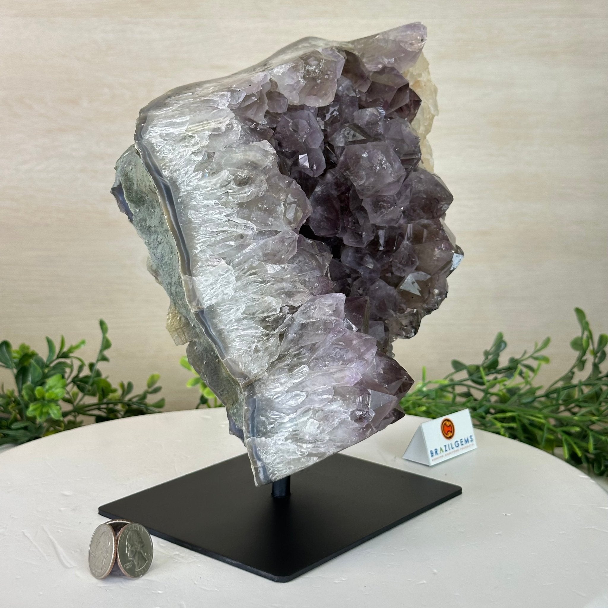 Amethyst Cluster on a Metal Base, 13 lbs & 9.9" Tall #5491 - 0215 - Brazil GemsBrazil GemsAmethyst Cluster on a Metal Base, 13 lbs & 9.9" Tall #5491 - 0215Clusters on Fixed Bases5491 - 0215