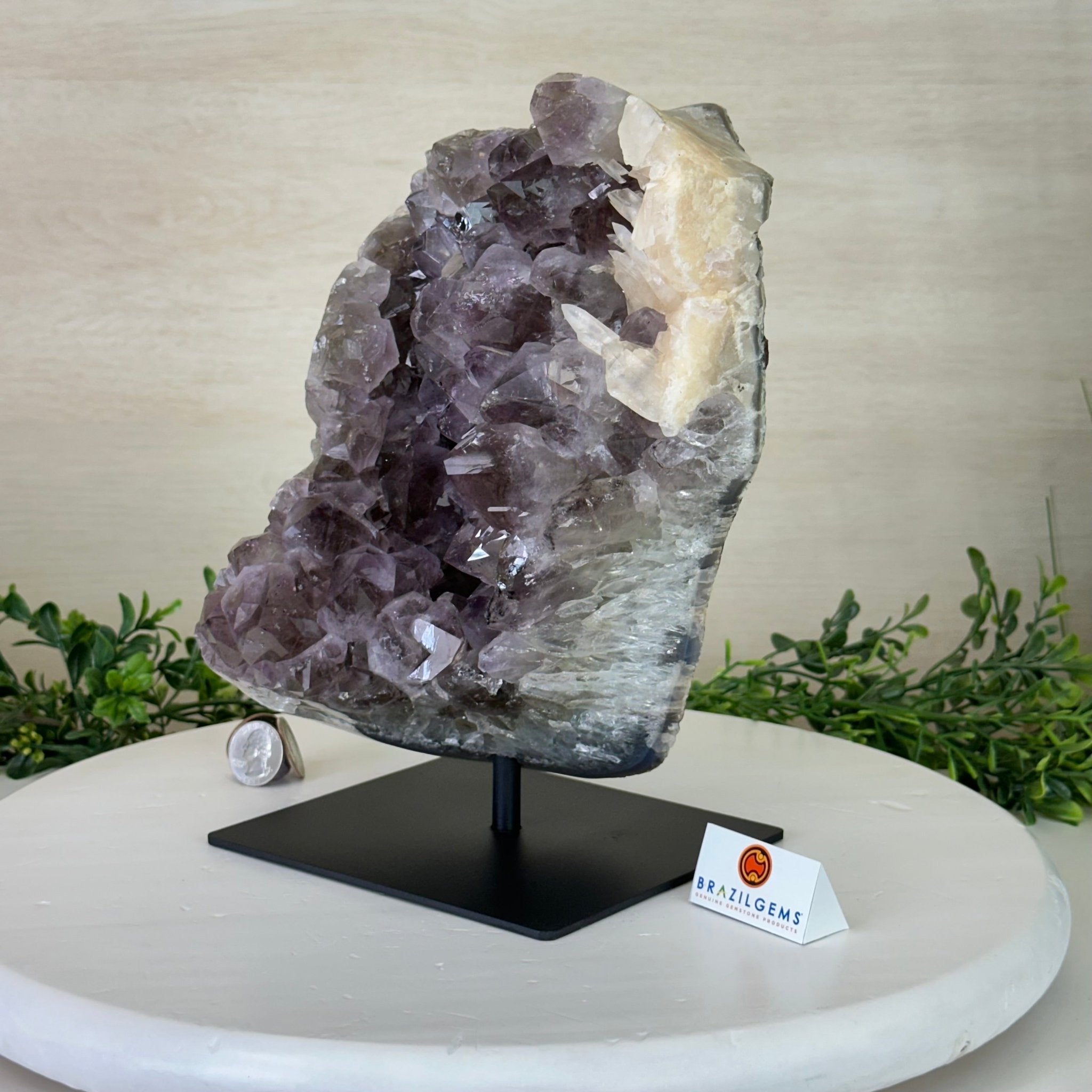 Amethyst Cluster on a Metal Base, 13 lbs & 9.9" Tall #5491 - 0215 - Brazil GemsBrazil GemsAmethyst Cluster on a Metal Base, 13 lbs & 9.9" Tall #5491 - 0215Clusters on Fixed Bases5491 - 0215