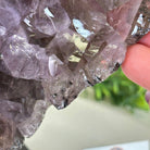 Amethyst Cluster on a Metal Base, 13 lbs & 9.9" Tall #5491 - 0215 - Brazil GemsBrazil GemsAmethyst Cluster on a Metal Base, 13 lbs & 9.9" Tall #5491 - 0215Clusters on Fixed Bases5491 - 0215