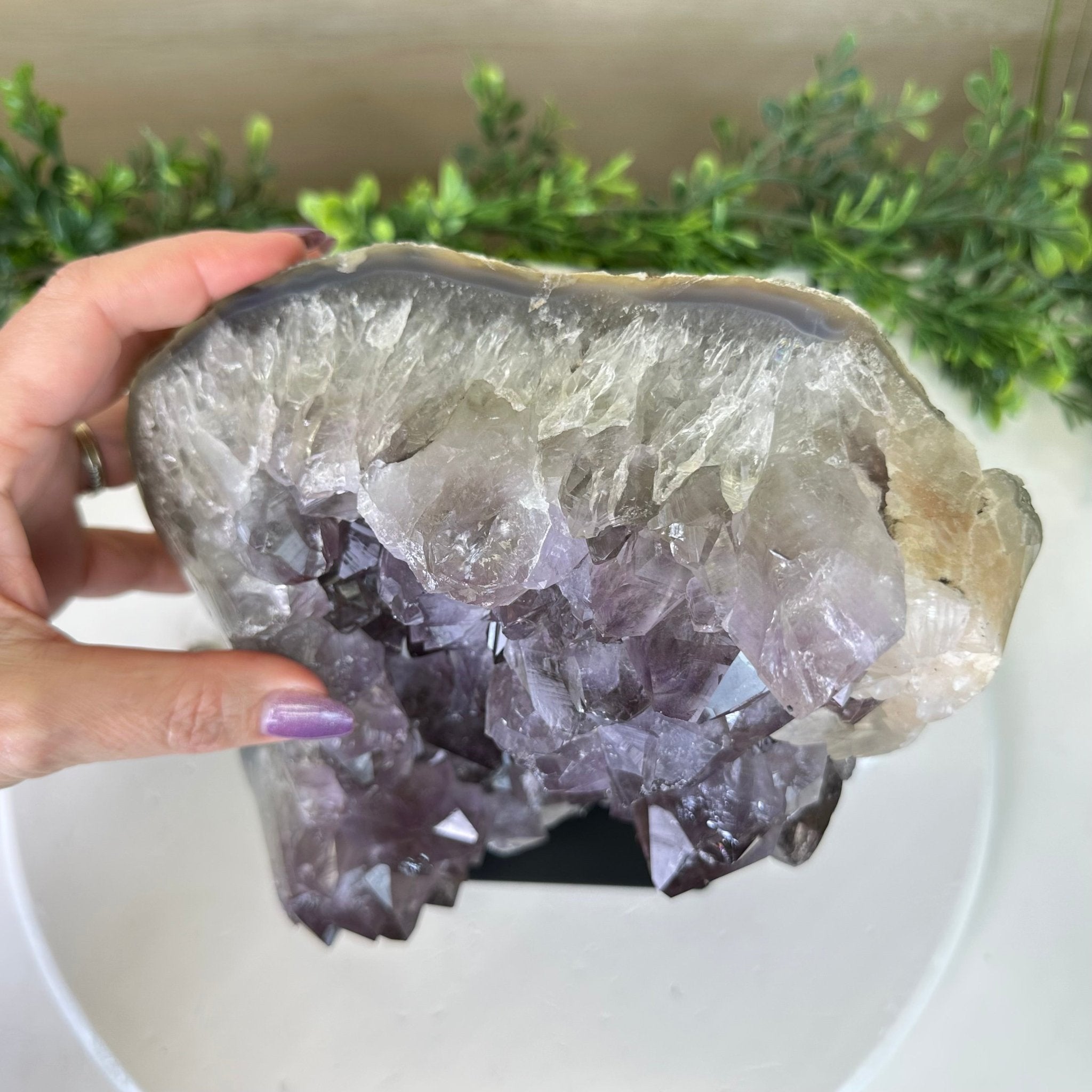 Amethyst Cluster on a Metal Base, 13 lbs & 9.9" Tall #5491 - 0215 - Brazil GemsBrazil GemsAmethyst Cluster on a Metal Base, 13 lbs & 9.9" Tall #5491 - 0215Clusters on Fixed Bases5491 - 0215