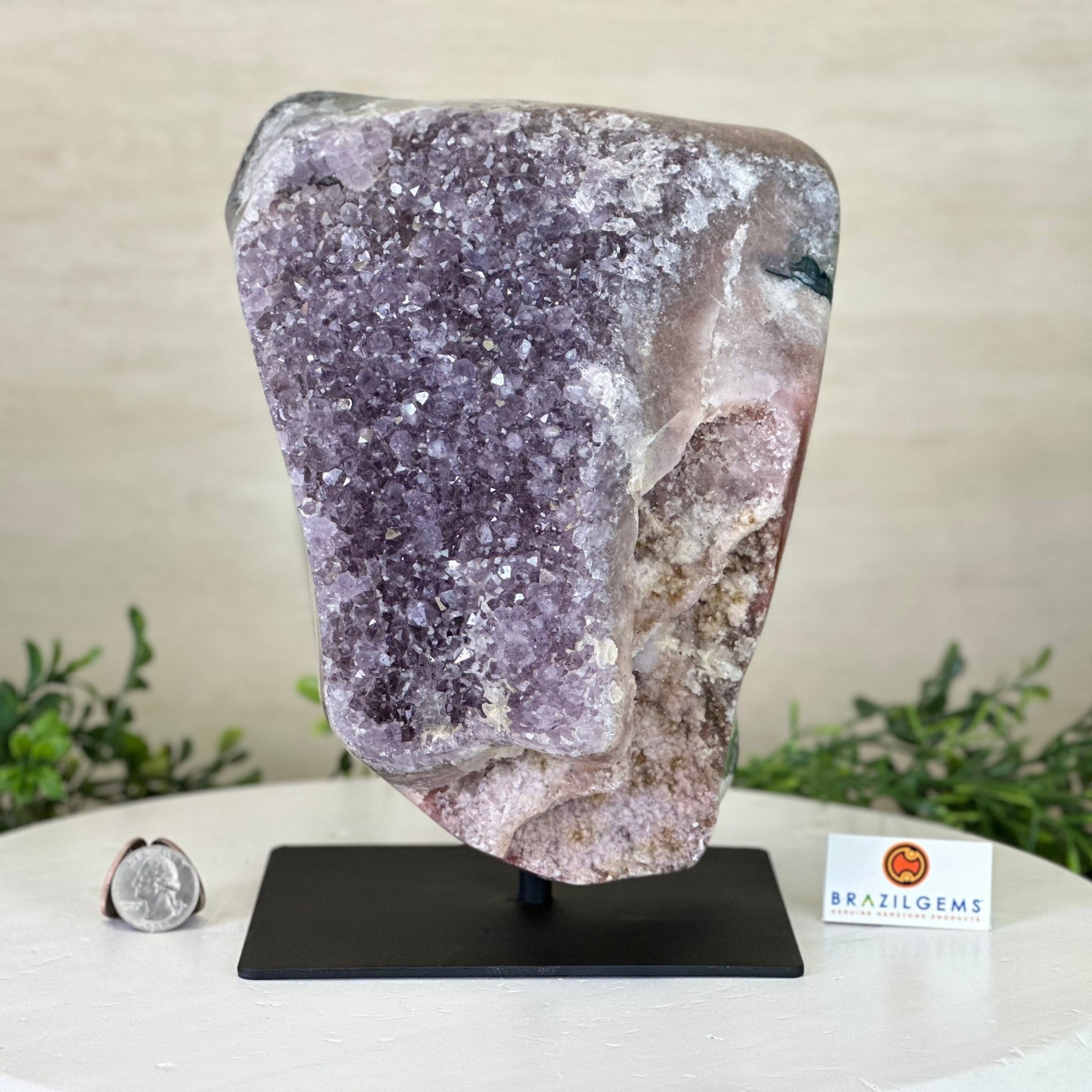 Amethyst Cluster on a Metal Base, 13.2 lbs & 9.1" Tall #5491 - 0216 - Brazil GemsBrazil GemsAmethyst Cluster on a Metal Base, 13.2 lbs & 9.1" Tall #5491 - 0216Clusters on Fixed Bases5491 - 0216