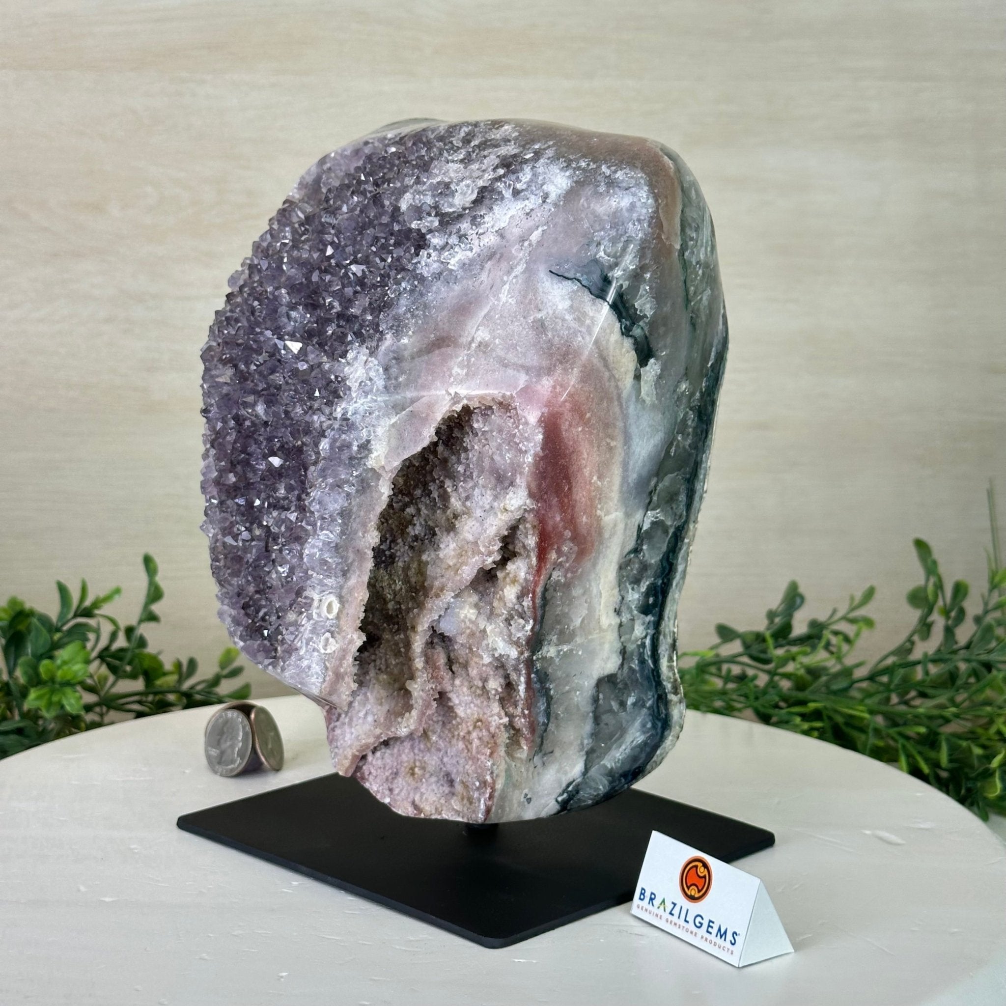 Amethyst Cluster on a Metal Base, 13.2 lbs & 9.1" Tall #5491 - 0216 - Brazil GemsBrazil GemsAmethyst Cluster on a Metal Base, 13.2 lbs & 9.1" Tall #5491 - 0216Clusters on Fixed Bases5491 - 0216