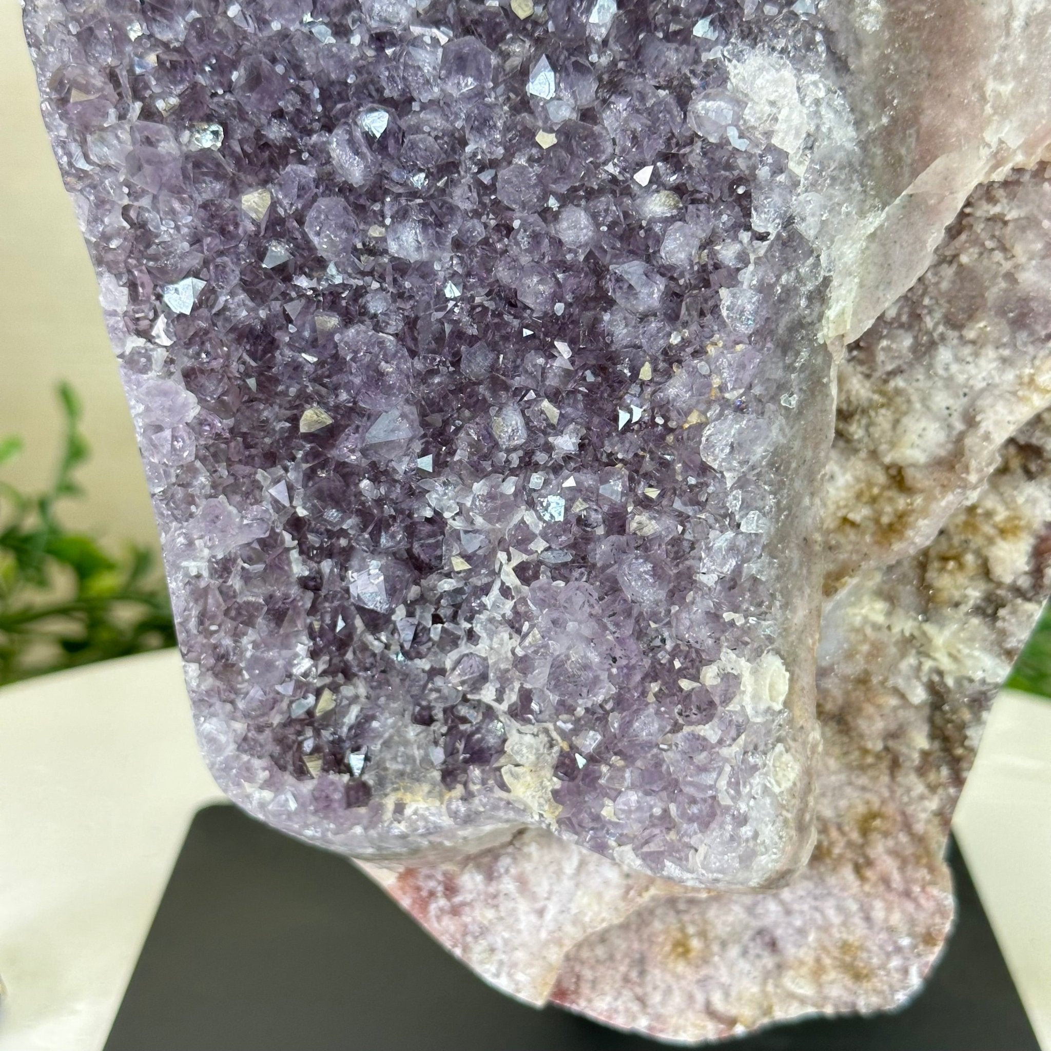 Amethyst Cluster on a Metal Base, 13.2 lbs & 9.1" Tall #5491 - 0216 - Brazil GemsBrazil GemsAmethyst Cluster on a Metal Base, 13.2 lbs & 9.1" Tall #5491 - 0216Clusters on Fixed Bases5491 - 0216