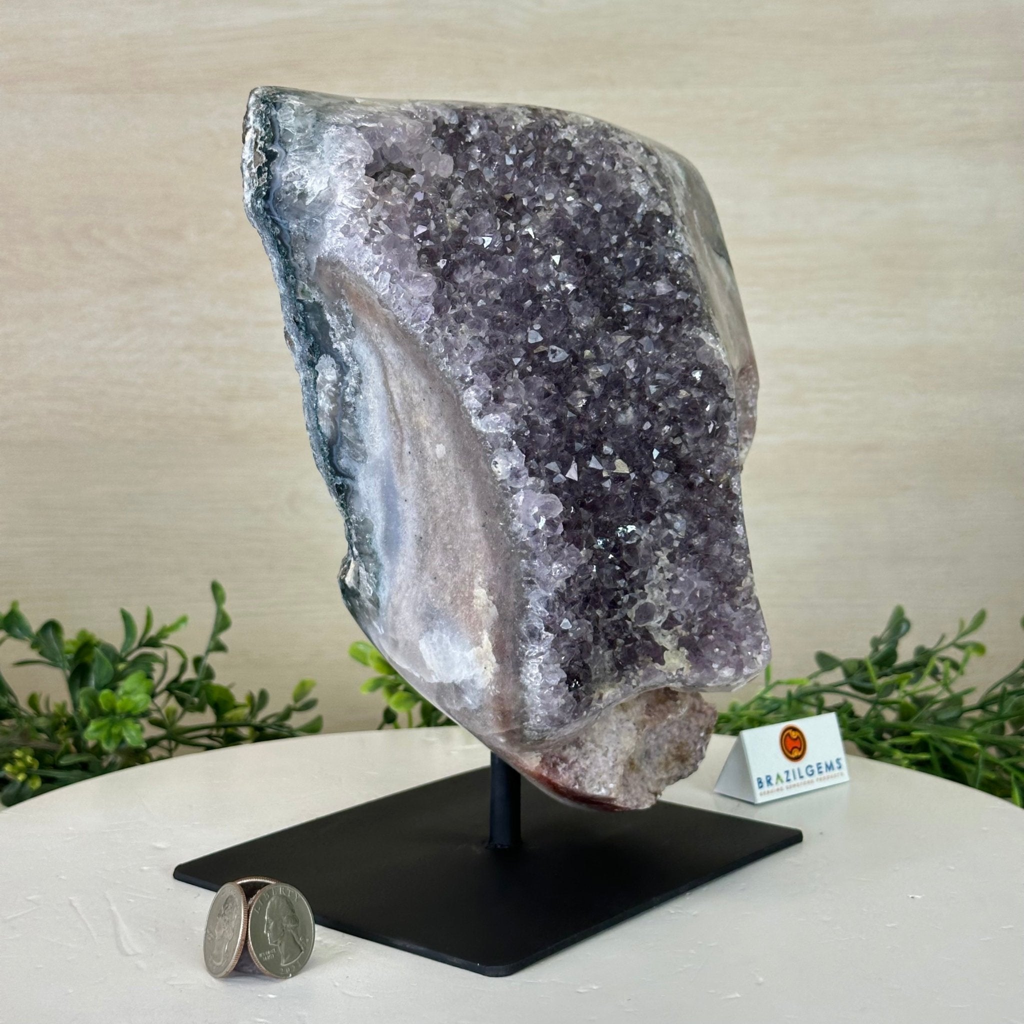 Amethyst Cluster on a Metal Base, 13.2 lbs & 9.1" Tall #5491 - 0216 - Brazil GemsBrazil GemsAmethyst Cluster on a Metal Base, 13.2 lbs & 9.1" Tall #5491 - 0216Clusters on Fixed Bases5491 - 0216