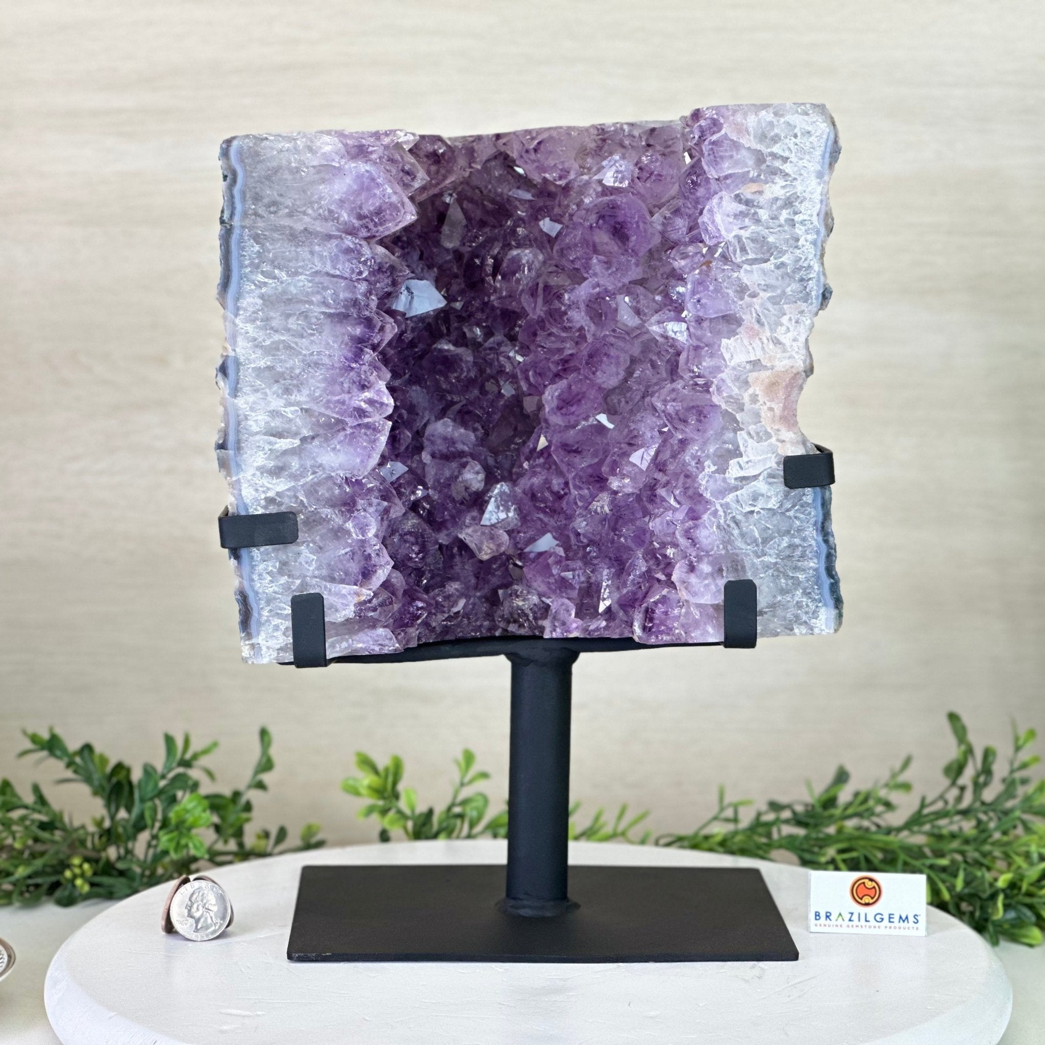 Amethyst Cluster on a Metal Base, 21.8 lbs & 13.2" Tall #5491 - 0242 - Brazil GemsBrazil GemsAmethyst Cluster on a Metal Base, 21.8 lbs & 13.2" Tall #5491 - 0242Clusters on Fixed Bases5491 - 0242