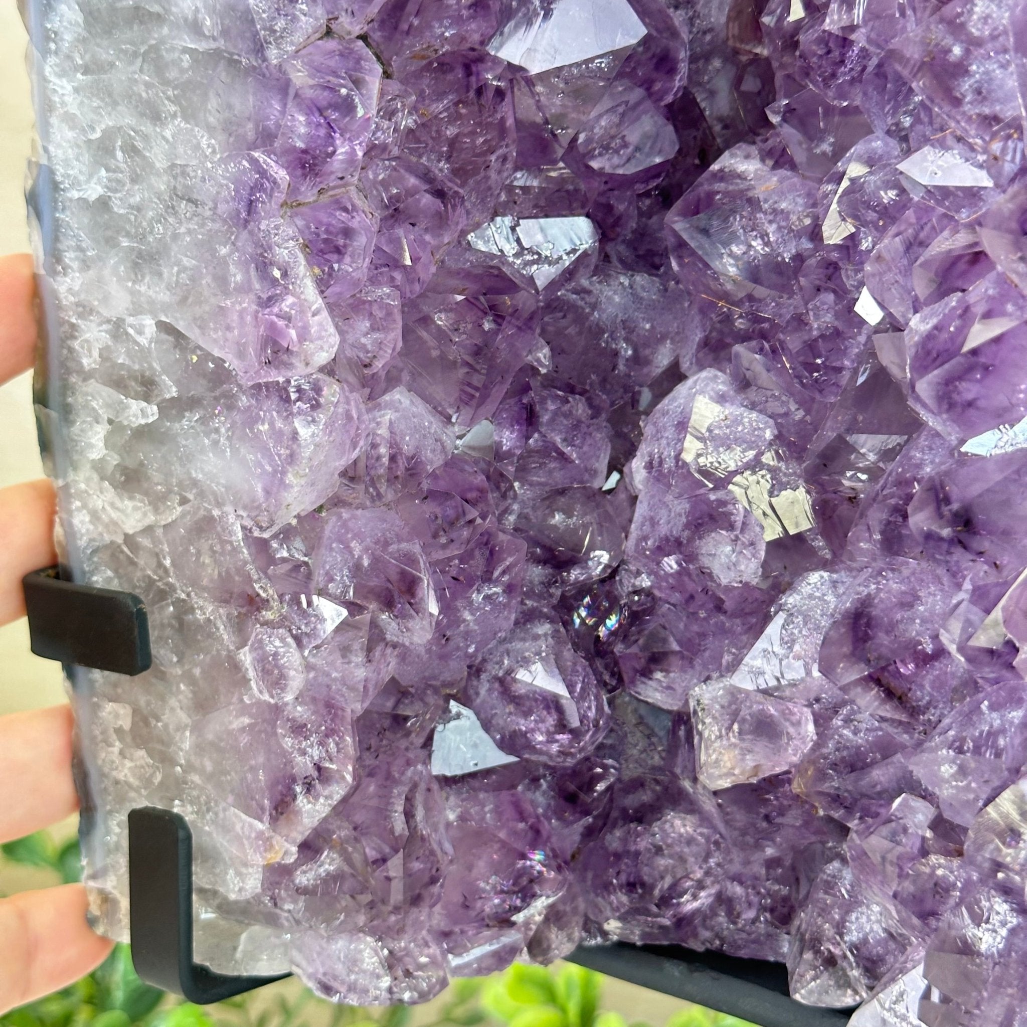 Amethyst Cluster on a Metal Base, 21.8 lbs & 13.2" Tall #5491 - 0242 - Brazil GemsBrazil GemsAmethyst Cluster on a Metal Base, 21.8 lbs & 13.2" Tall #5491 - 0242Clusters on Fixed Bases5491 - 0242