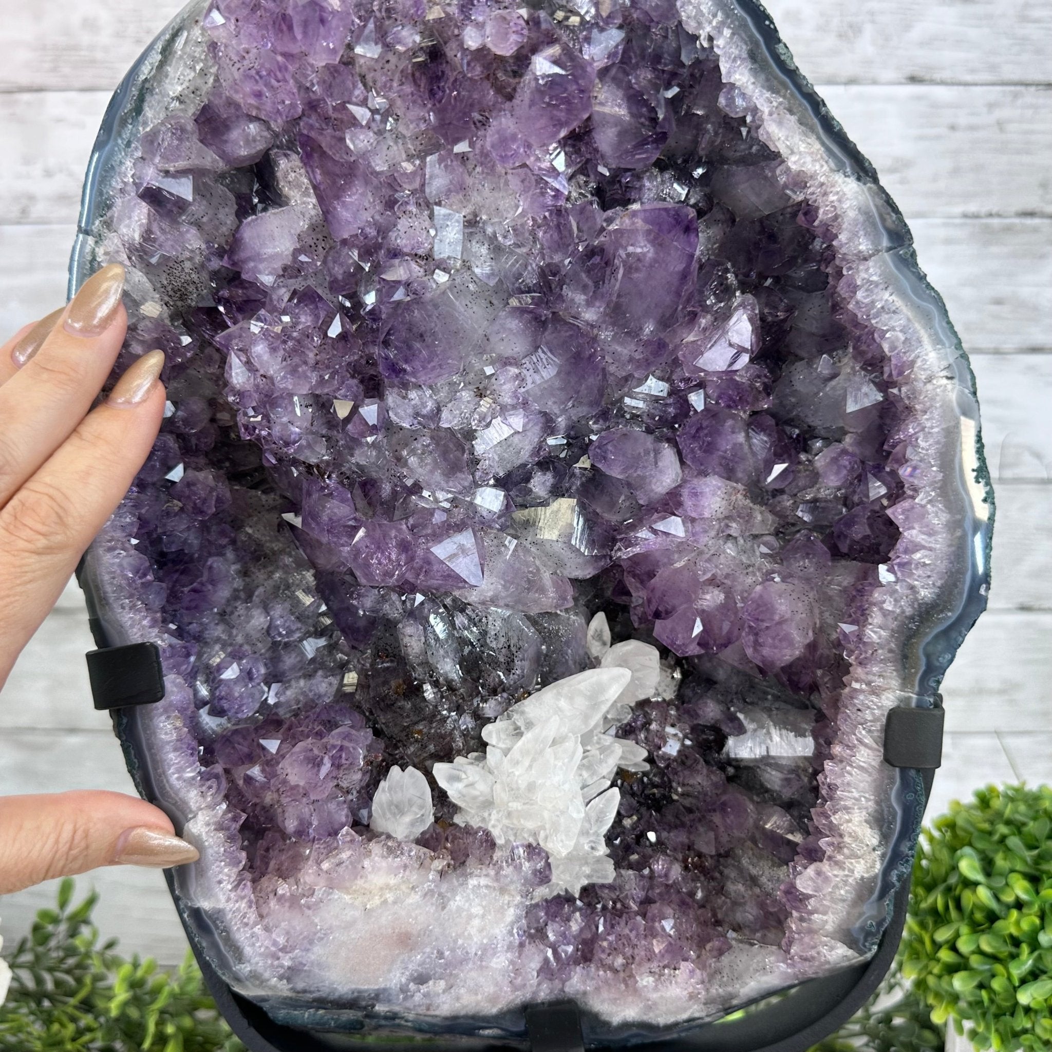 Amethyst Cluster on a Metal Base, 28.4 lbs & 17.5" Tall, #5491 - 0101 - Brazil GemsBrazil GemsAmethyst Cluster on a Metal Base, 28.4 lbs & 17.5" Tall, #5491 - 0101Clusters on Fixed Bases5491 - 0101