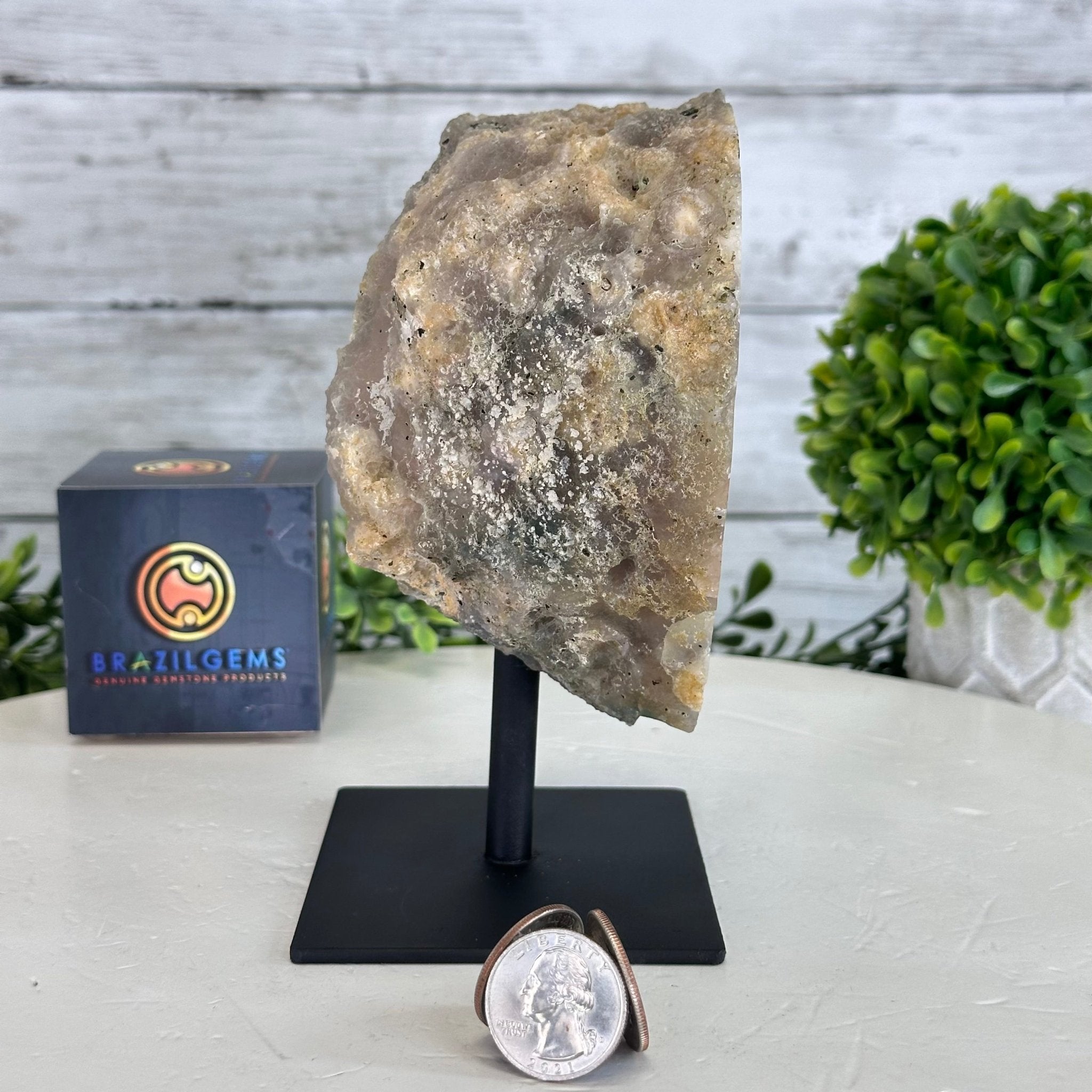 Amethyst Cluster on a Metal Base, 3.2 lbs & 6.3" Tall #5491-0168 - Brazil GemsBrazil GemsAmethyst Cluster on a Metal Base, 3.2 lbs & 6.3" Tall #5491-0168Clusters on Fixed Bases5491-0168