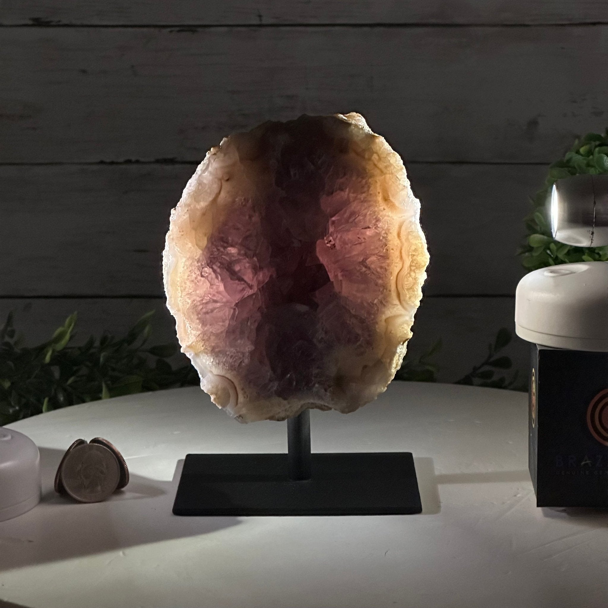 Amethyst Cluster on a Metal Base, 3.2 lbs & 6.3" Tall #5491-0168 - Brazil GemsBrazil GemsAmethyst Cluster on a Metal Base, 3.2 lbs & 6.3" Tall #5491-0168Clusters on Fixed Bases5491-0168