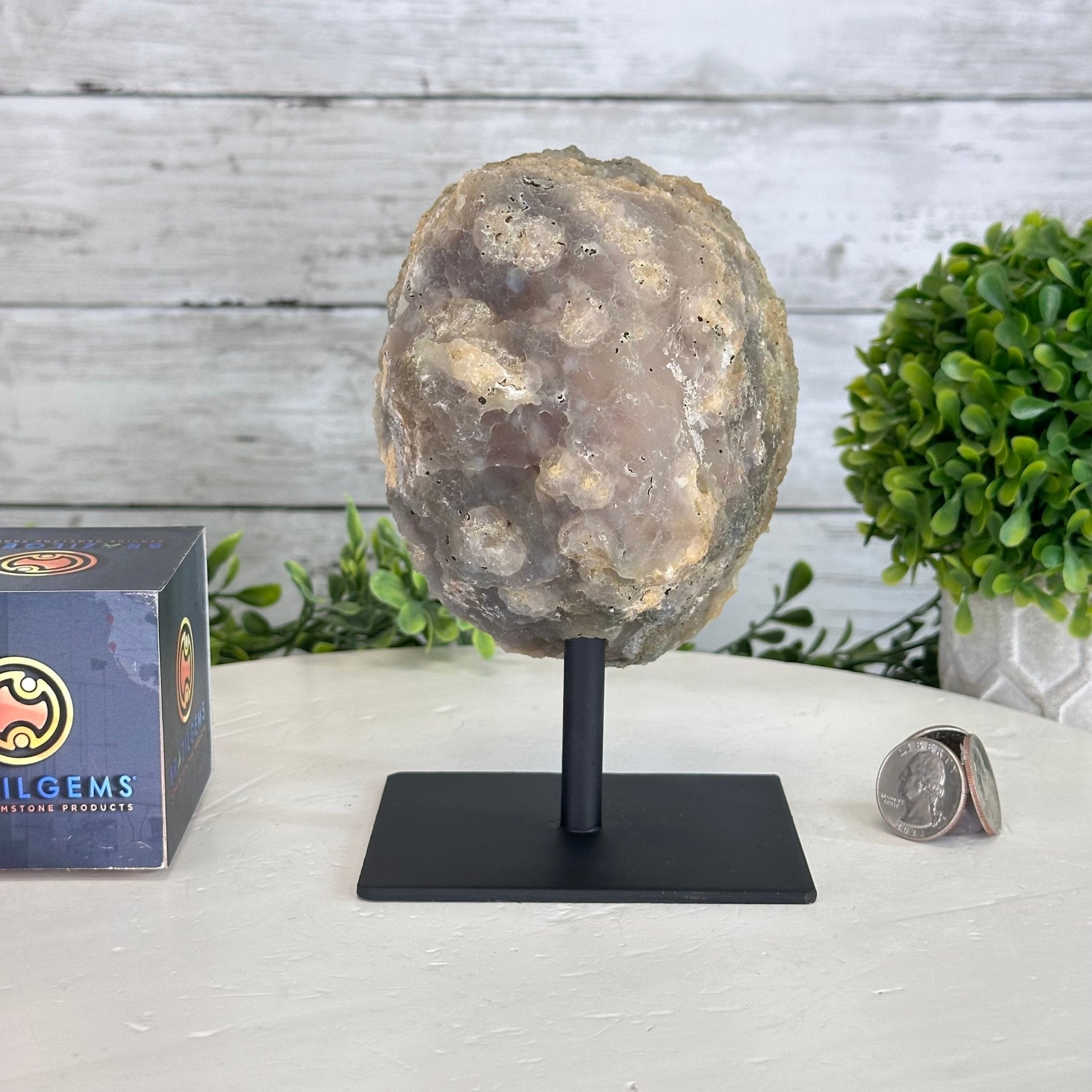 Amethyst Cluster on a Metal Base, 3.2 lbs & 6.3" Tall #5491-0168 - Brazil GemsBrazil GemsAmethyst Cluster on a Metal Base, 3.2 lbs & 6.3" Tall #5491-0168Clusters on Fixed Bases5491-0168