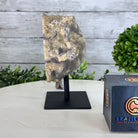 Amethyst Cluster on a Metal Base, 3.2 lbs & 6.3" Tall #5491-0168 - Brazil GemsBrazil GemsAmethyst Cluster on a Metal Base, 3.2 lbs & 6.3" Tall #5491-0168Clusters on Fixed Bases5491-0168