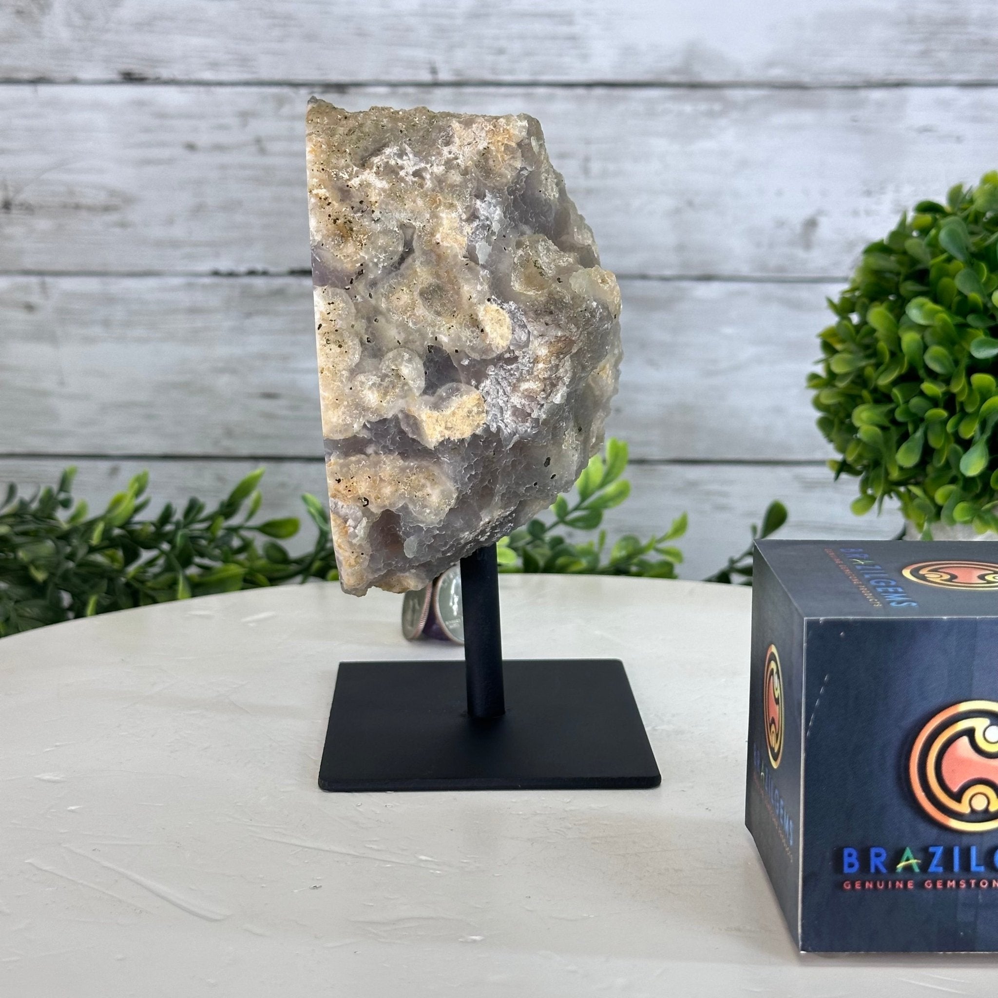 Amethyst Cluster on a Metal Base, 3.2 lbs & 6.3" Tall #5491-0168 - Brazil GemsBrazil GemsAmethyst Cluster on a Metal Base, 3.2 lbs & 6.3" Tall #5491-0168Clusters on Fixed Bases5491-0168