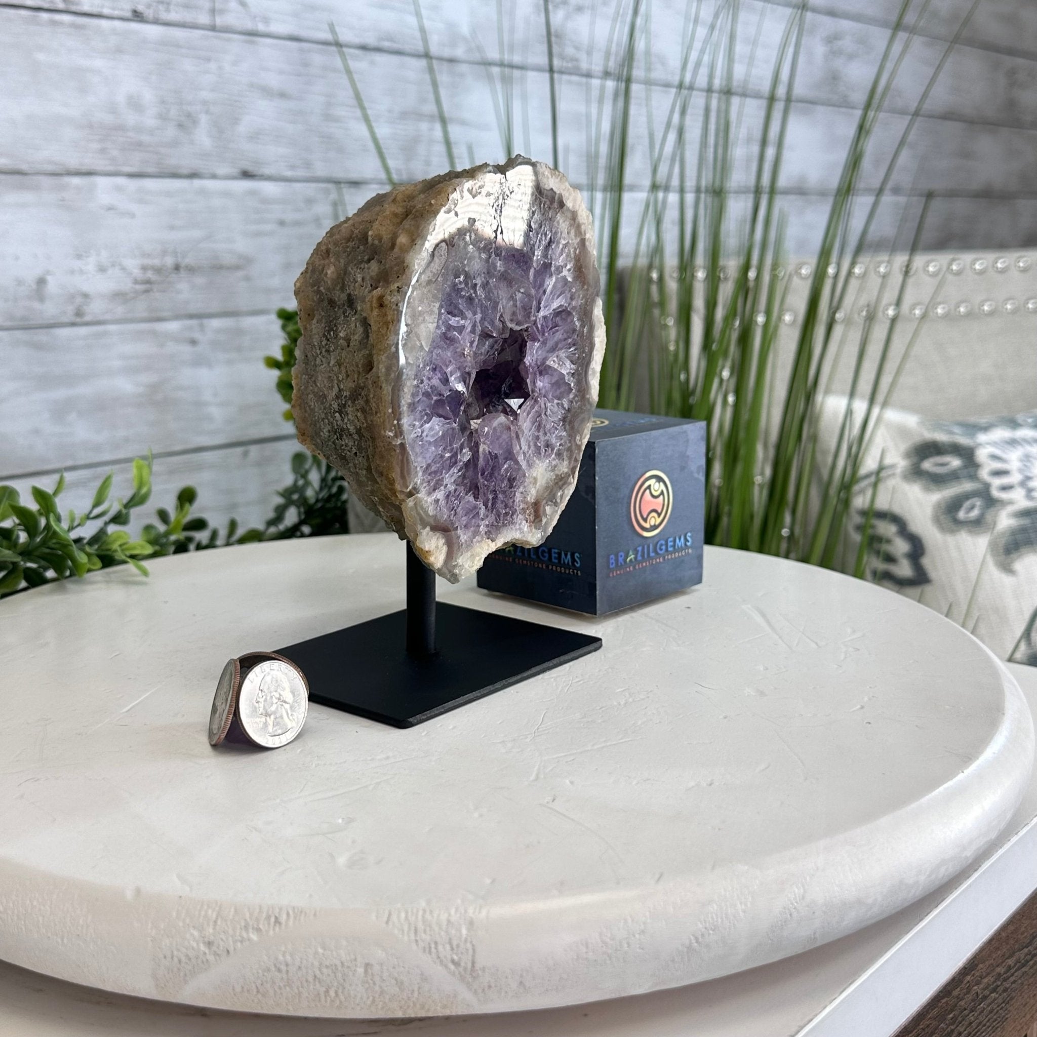 Amethyst Cluster on a Metal Base, 3.2 lbs & 6.3" Tall #5491-0168 - Brazil GemsBrazil GemsAmethyst Cluster on a Metal Base, 3.2 lbs & 6.3" Tall #5491-0168Clusters on Fixed Bases5491-0168