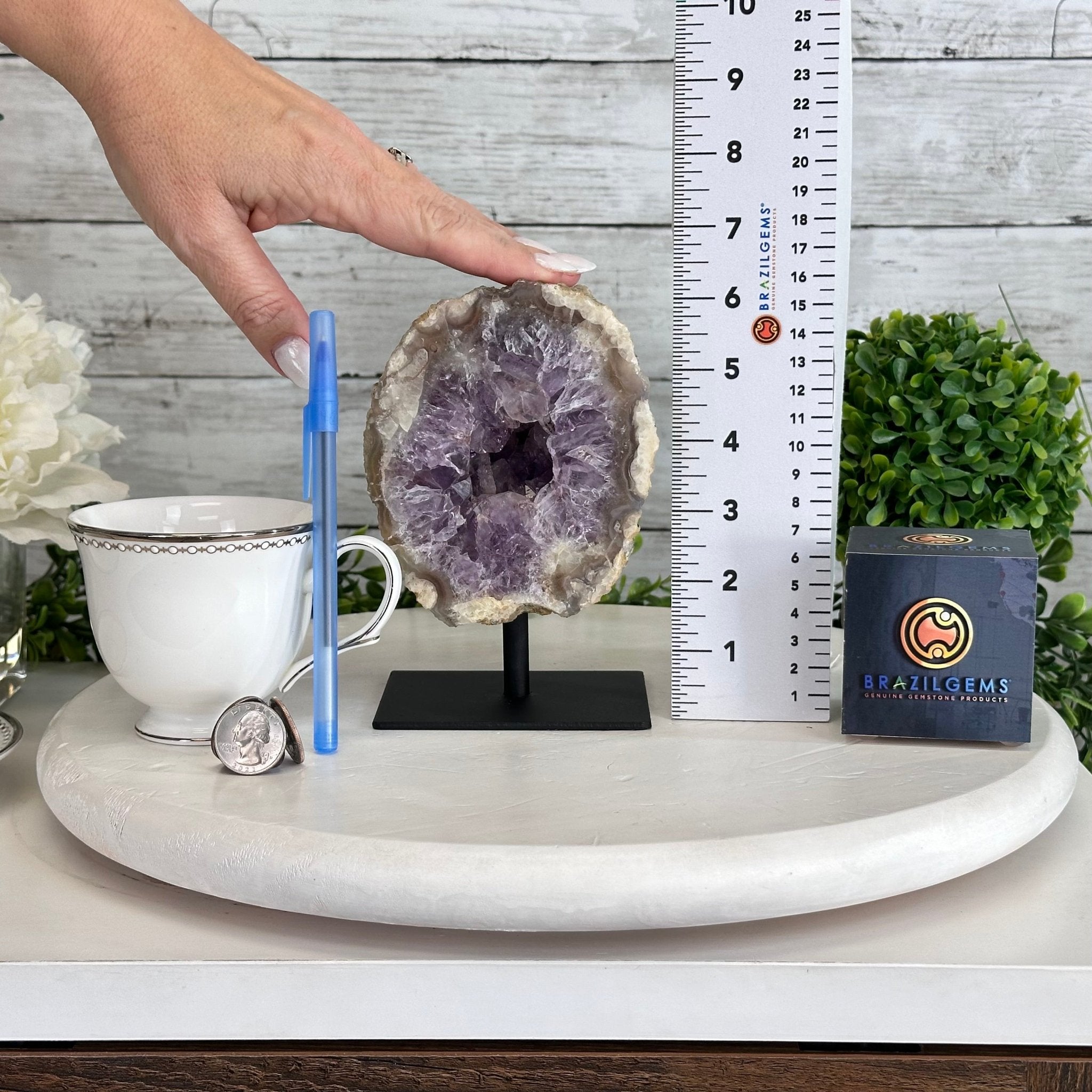 Amethyst Cluster on a Metal Base, 3.2 lbs & 6.3" Tall #5491-0168 - Brazil GemsBrazil GemsAmethyst Cluster on a Metal Base, 3.2 lbs & 6.3" Tall #5491-0168Clusters on Fixed Bases5491-0168