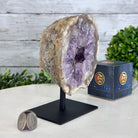 Amethyst Cluster on a Metal Base, 3.2 lbs & 6.3" Tall #5491-0168 - Brazil GemsBrazil GemsAmethyst Cluster on a Metal Base, 3.2 lbs & 6.3" Tall #5491-0168Clusters on Fixed Bases5491-0168