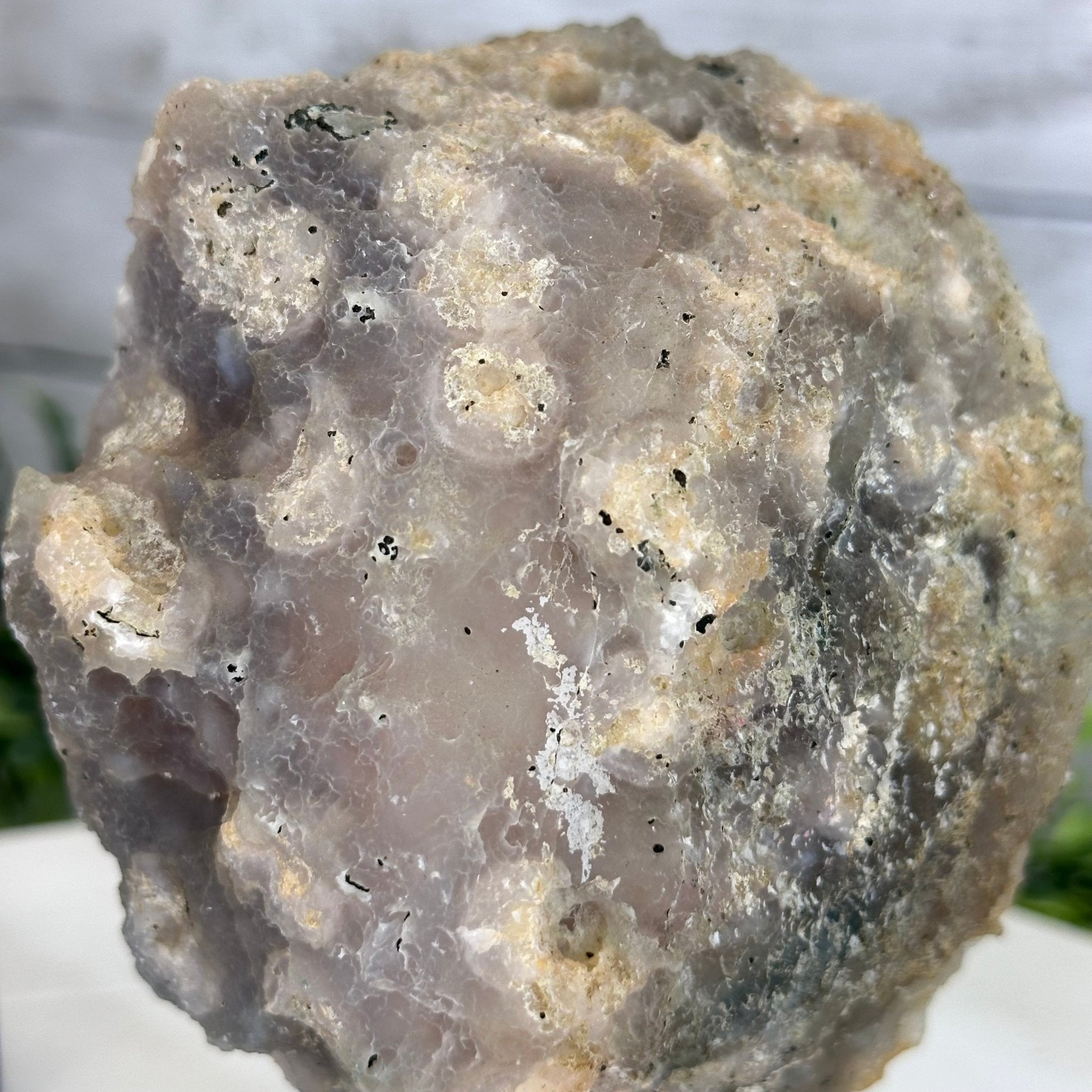 Amethyst Cluster on a Metal Base, 3.2 lbs & 6.3" Tall #5491-0168 - Brazil GemsBrazil GemsAmethyst Cluster on a Metal Base, 3.2 lbs & 6.3" Tall #5491-0168Clusters on Fixed Bases5491-0168