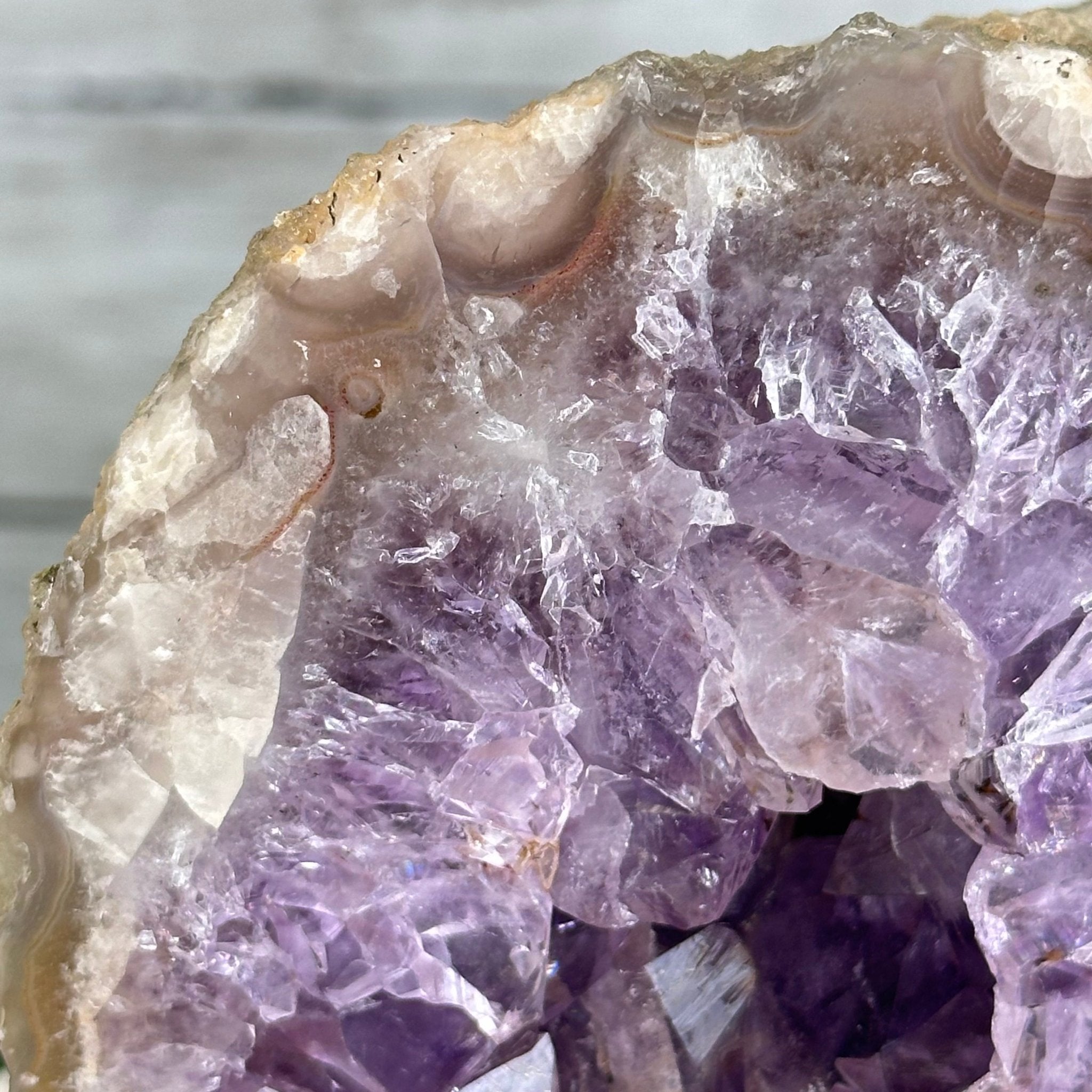 Amethyst Cluster on a Metal Base, 3.2 lbs & 6.3" Tall #5491-0168 - Brazil GemsBrazil GemsAmethyst Cluster on a Metal Base, 3.2 lbs & 6.3" Tall #5491-0168Clusters on Fixed Bases5491-0168