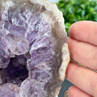 Amethyst Cluster on a Metal Base, 3.2 lbs & 6.3" Tall #5491-0168 - Brazil GemsBrazil GemsAmethyst Cluster on a Metal Base, 3.2 lbs & 6.3" Tall #5491-0168Clusters on Fixed Bases5491-0168