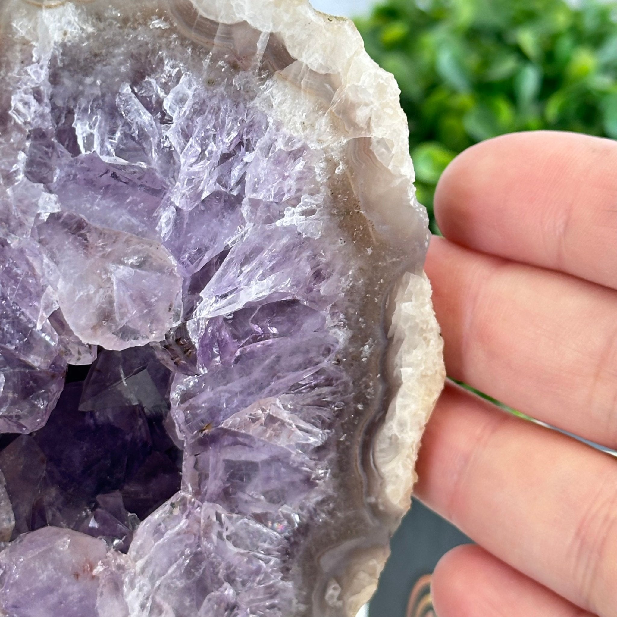 Amethyst Cluster on a Metal Base, 3.2 lbs & 6.3" Tall #5491-0168 - Brazil GemsBrazil GemsAmethyst Cluster on a Metal Base, 3.2 lbs & 6.3" Tall #5491-0168Clusters on Fixed Bases5491-0168