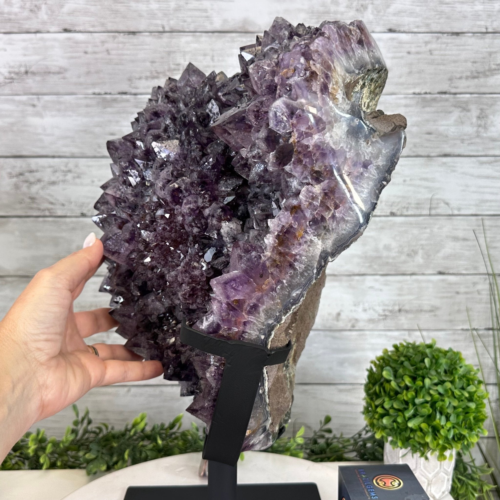 Amethyst Cluster on a Metal Base, 54.2 lbs & 16.8" Tall, #5491 - 0109 - Brazil GemsBrazil GemsAmethyst Cluster on a Metal Base, 54.2 lbs & 16.8" Tall, #5491 - 0109Clusters on Fixed Bases5491 - 0109