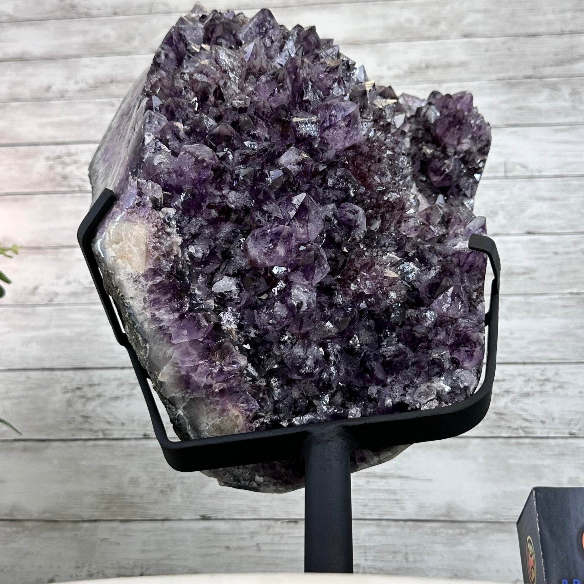 Amethyst Cluster on a Metal Base, 54.2 lbs & 16.8" Tall, #5491 - 0109 - Brazil GemsBrazil GemsAmethyst Cluster on a Metal Base, 54.2 lbs & 16.8" Tall, #5491 - 0109Clusters on Fixed Bases5491 - 0109
