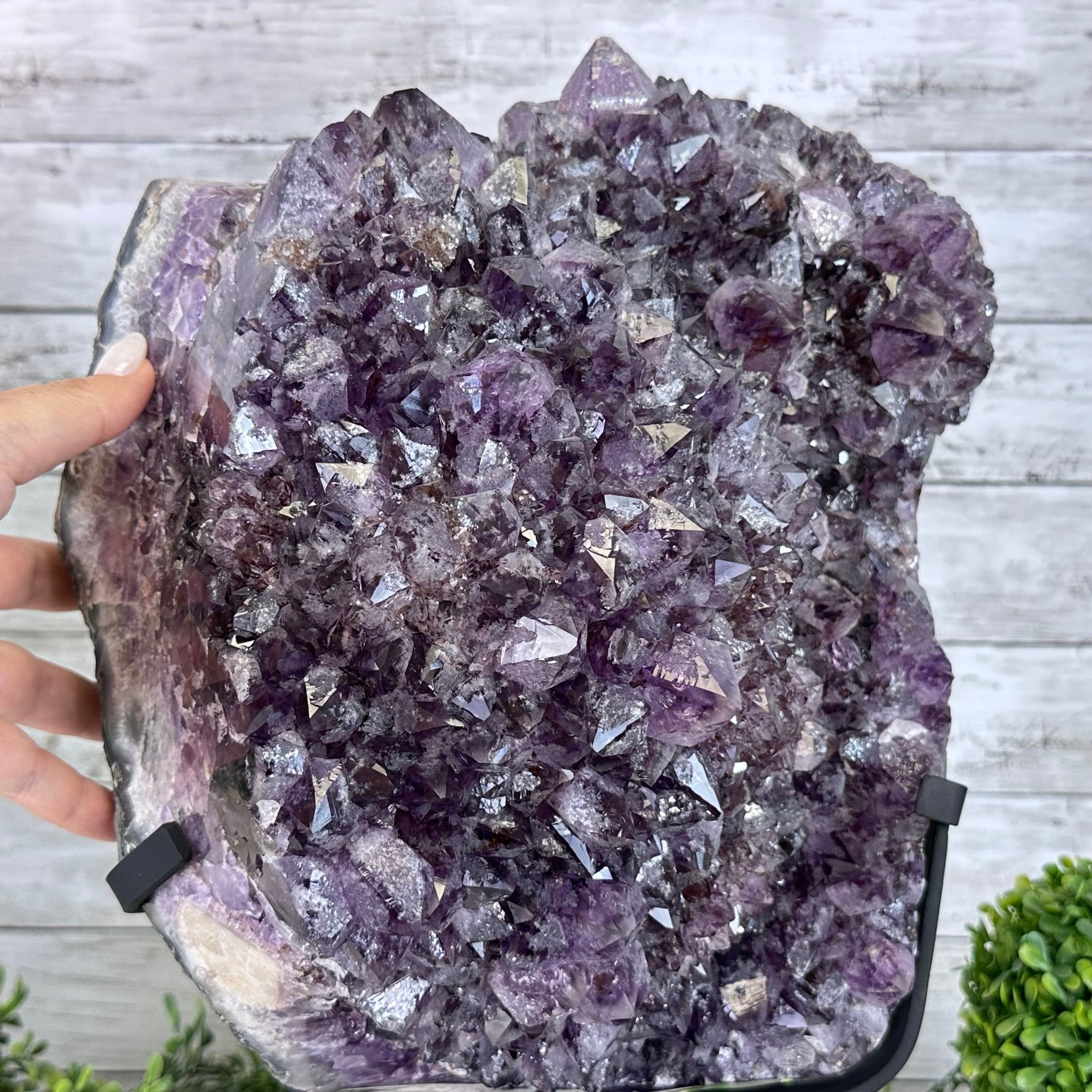 Amethyst Cluster on a Metal Base, 54.2 lbs & 16.8" Tall, #5491 - 0109 - Brazil GemsBrazil GemsAmethyst Cluster on a Metal Base, 54.2 lbs & 16.8" Tall, #5491 - 0109Clusters on Fixed Bases5491 - 0109