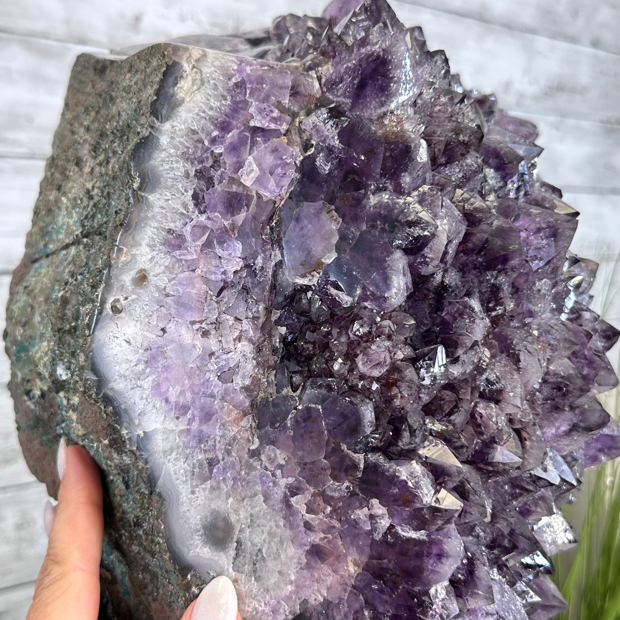 Amethyst Cluster on a Metal Base, 54.2 lbs & 16.8" Tall, #5491 - 0109 - Brazil GemsBrazil GemsAmethyst Cluster on a Metal Base, 54.2 lbs & 16.8" Tall, #5491 - 0109Clusters on Fixed Bases5491 - 0109