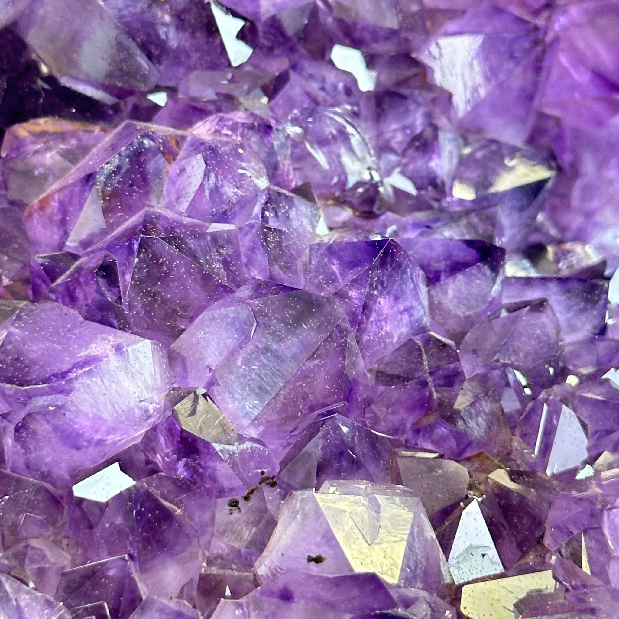 Amethyst Cluster on a Metal Base, 69.9 lbs & 23.1" Tall #5491 - 0146 - Brazil GemsBrazil GemsAmethyst Cluster on a Metal Base, 69.9 lbs & 23.1" Tall #5491 - 0146Clusters on Fixed Bases5491 - 0146