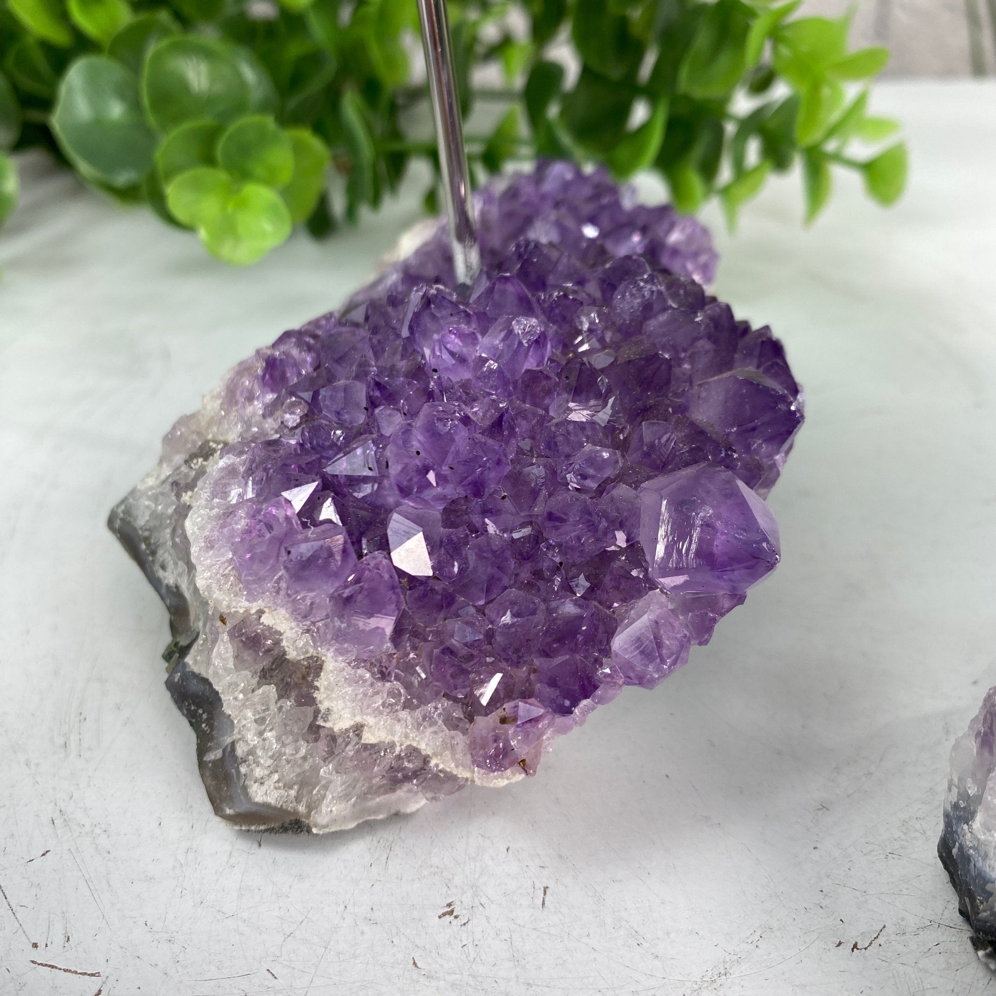 Amethyst Cluster Votive Candleholder, ~6" tall Model #5556AMTH by Brazil Gems - Brazil GemsBrazil GemsAmethyst Cluster Votive Candleholder, ~6" tall Model #5556AMTH by Brazil GemsCandleholders5556AMTH