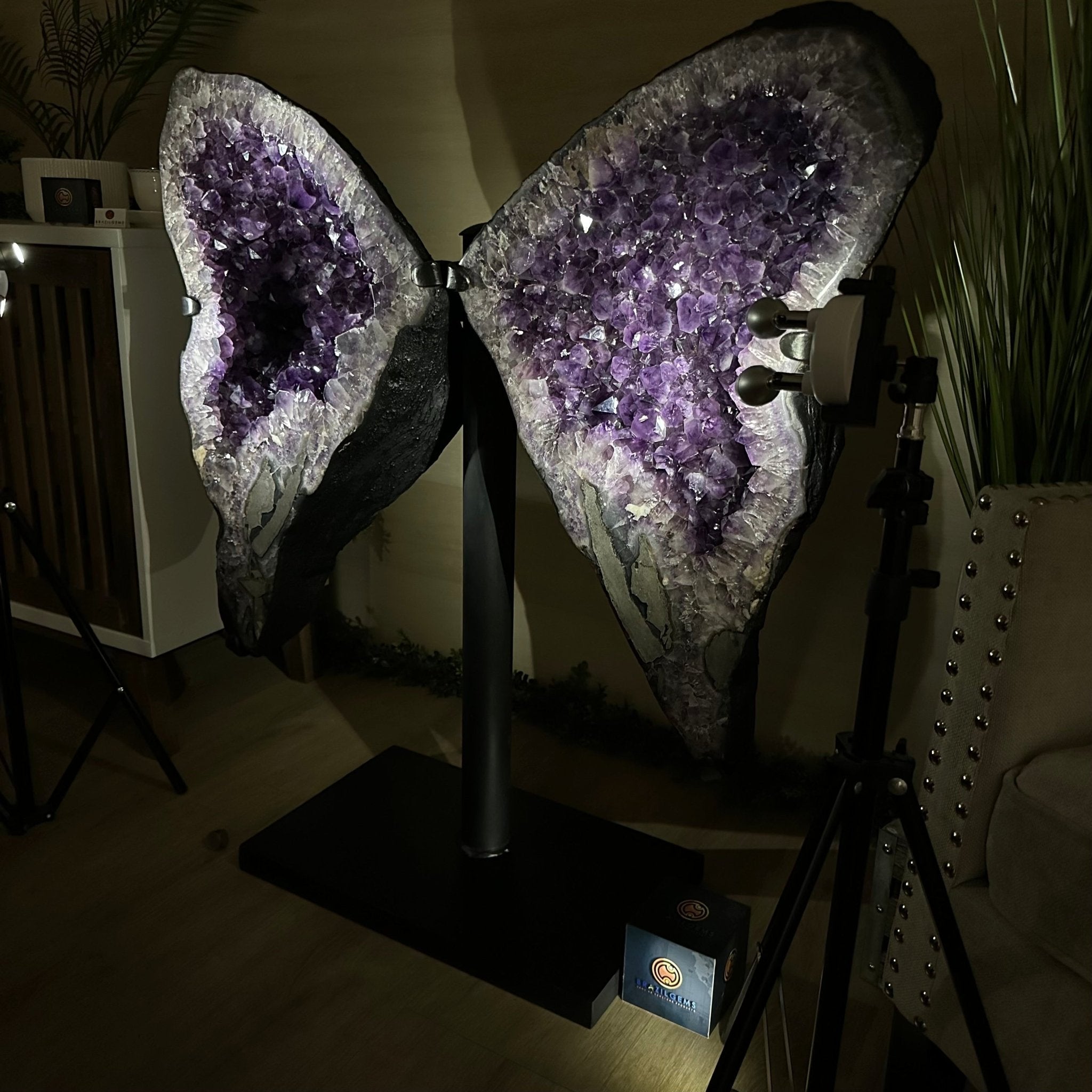 Amethyst Wings on a Metal Stand, 220.5 lbs, 39.75" Tall 5493 - 0051 - Brazil GemsBrazil GemsAmethyst Wings on a Metal Stand, 220.5 lbs, 39.75" Tall 5493 - 0051Amethyst Butterfly Wings5493 - 0051