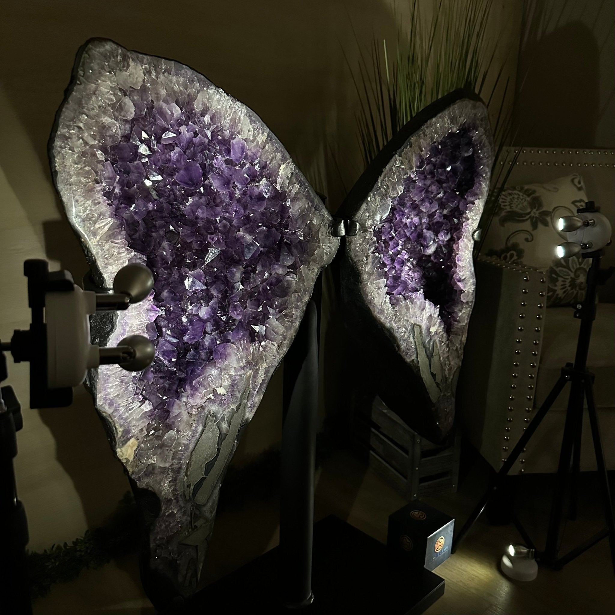 Amethyst Wings on a Metal Stand, 220.5 lbs, 39.75" Tall 5493 - 0051 - Brazil GemsBrazil GemsAmethyst Wings on a Metal Stand, 220.5 lbs, 39.75" Tall 5493 - 0051Amethyst Butterfly Wings5493 - 0051